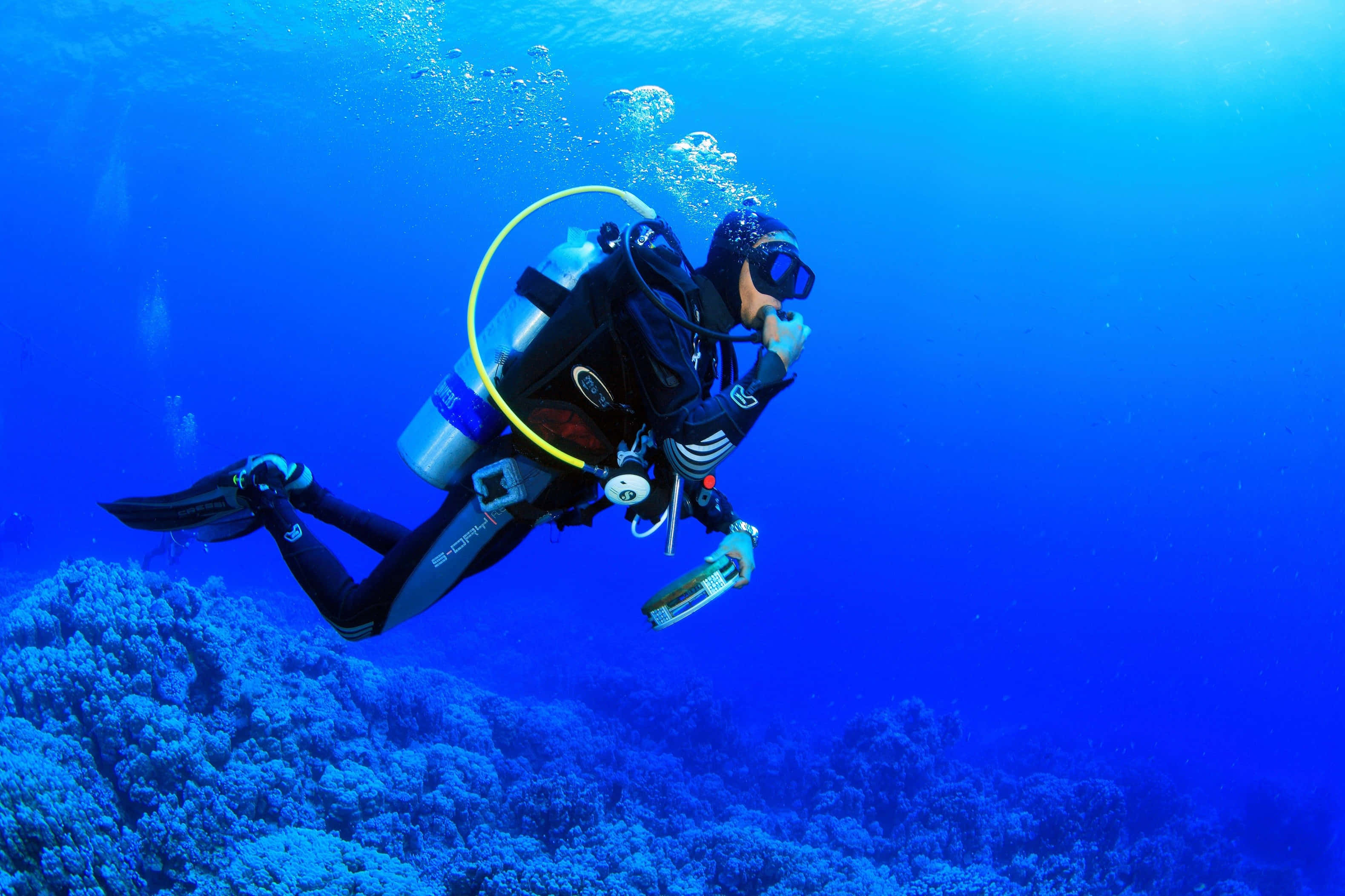 diving 桌布 壁紙 — 一名水肺潛水員在水晶般清澈的藍色海洋中，優雅地滑過色彩繽紛的珊瑚礁。