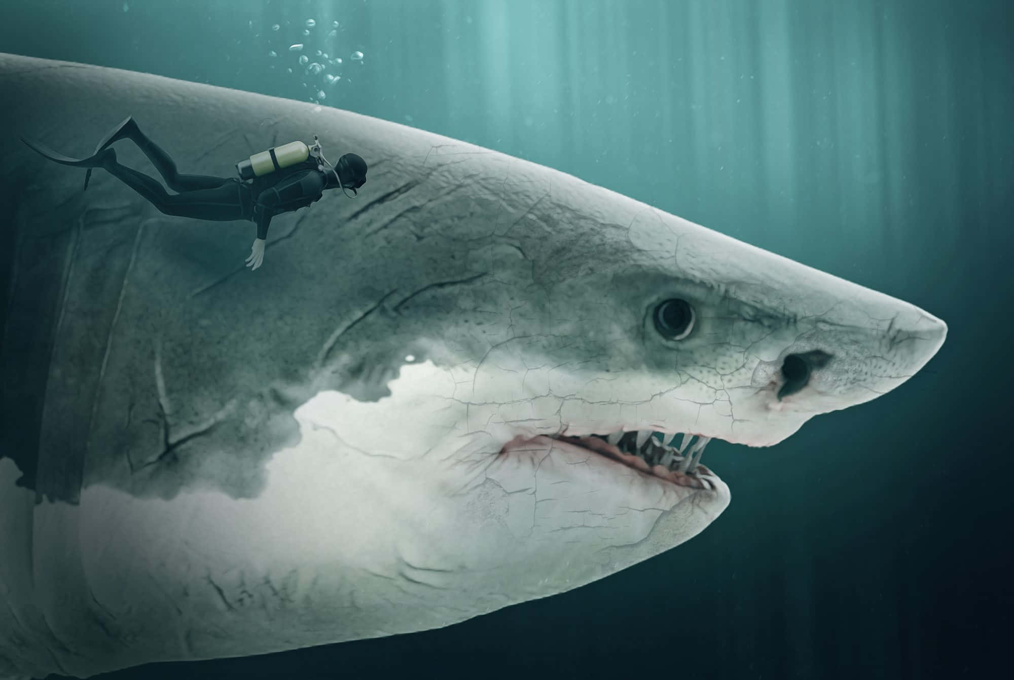 Megalodon 桌布 壁紙 — 一名水肺潛水員在深藍綠色的海水中，平靜地游過一條巨型鯊魚張開的巨大嘴巴上方。