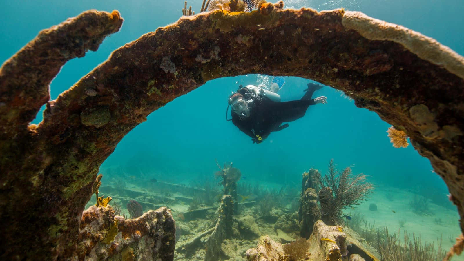 Underwater Ocean 桌布 壁紙 — 一名水肺潛水員在清澈的碧綠海水中滑過一個佈滿珊瑚和海洋生物的生鏽沉船拱門。