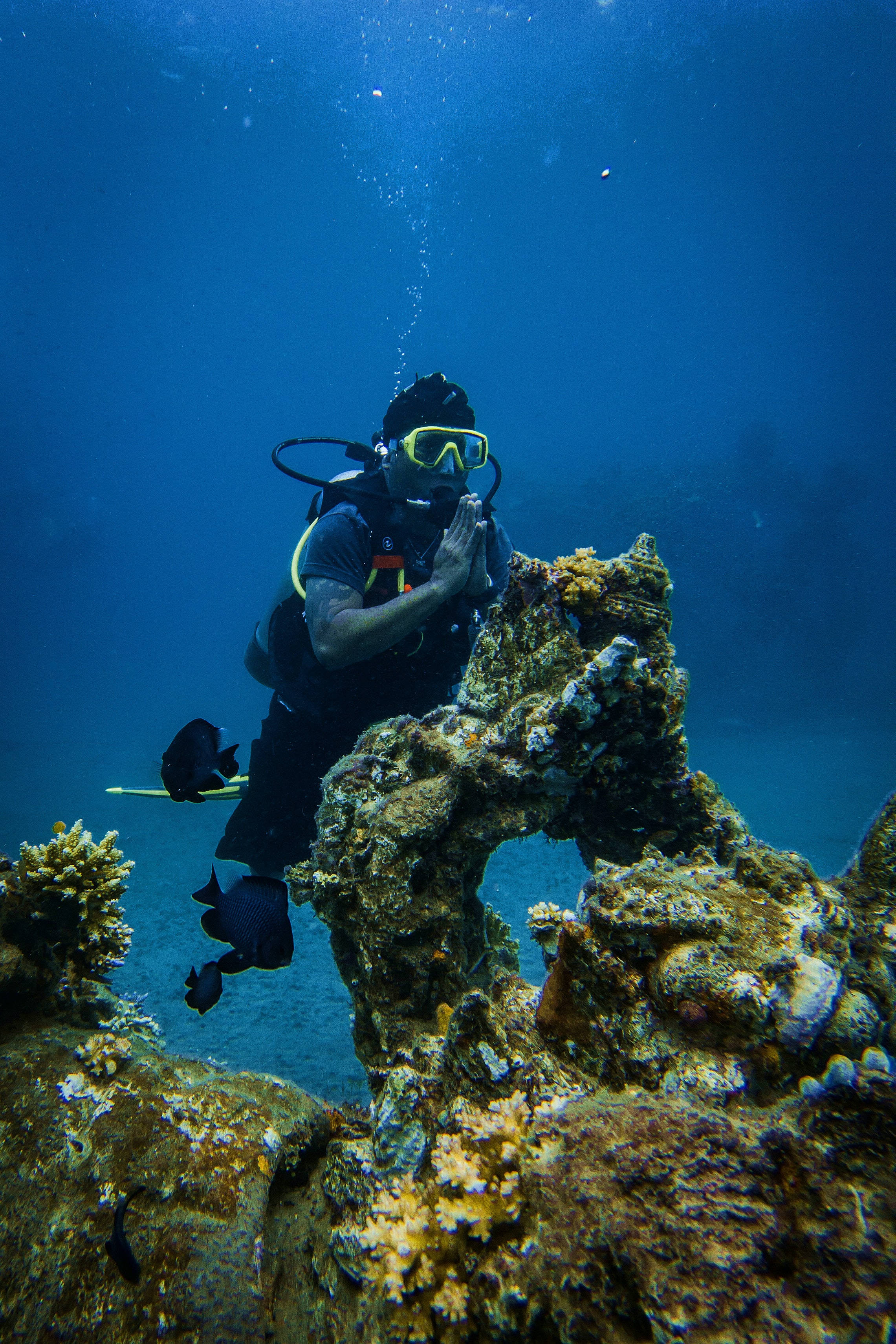 diving 桌布 壁紙 — 一名水肺潛水員在清澈的藍色海水中探索色彩繽紛的珊瑚結構，陽光從上方照射下來。
