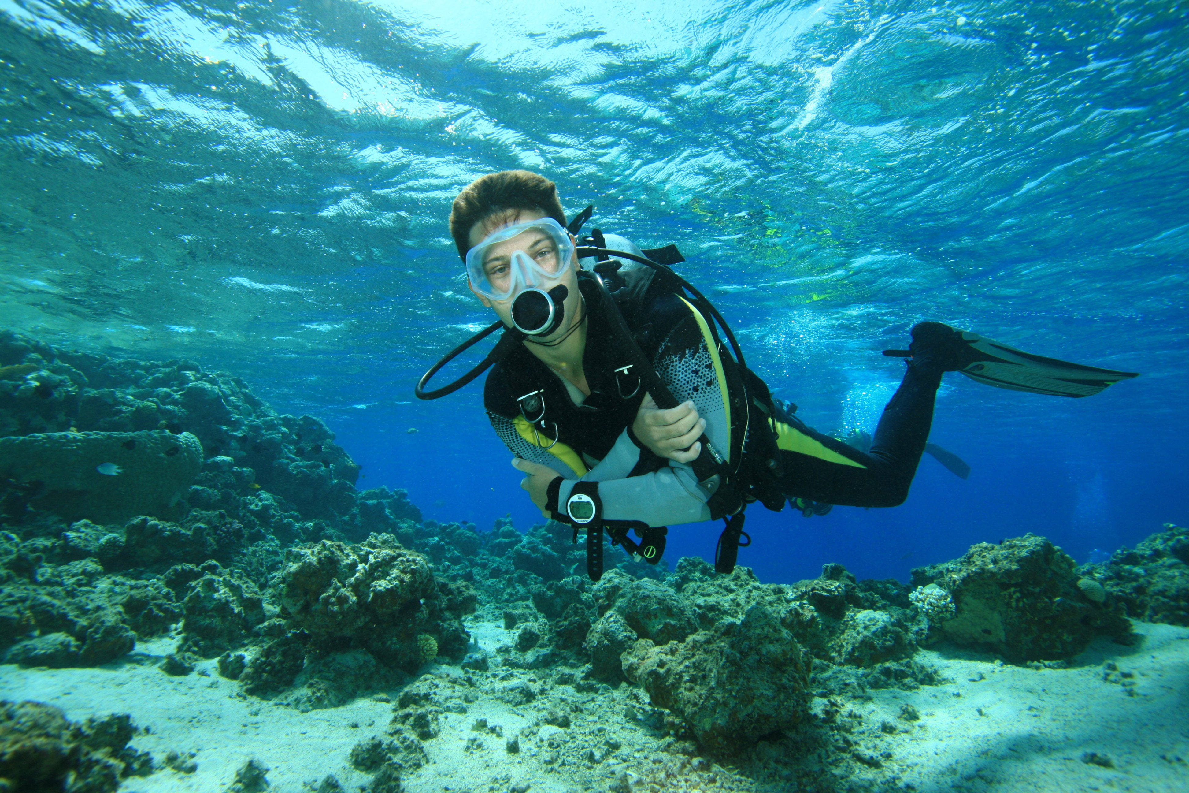 diving 桌布 壁紙 — 一名水肺潛水員在清澈的藍色海水中滑行，越過陽光照射的珊瑚礁，底部是沙地。