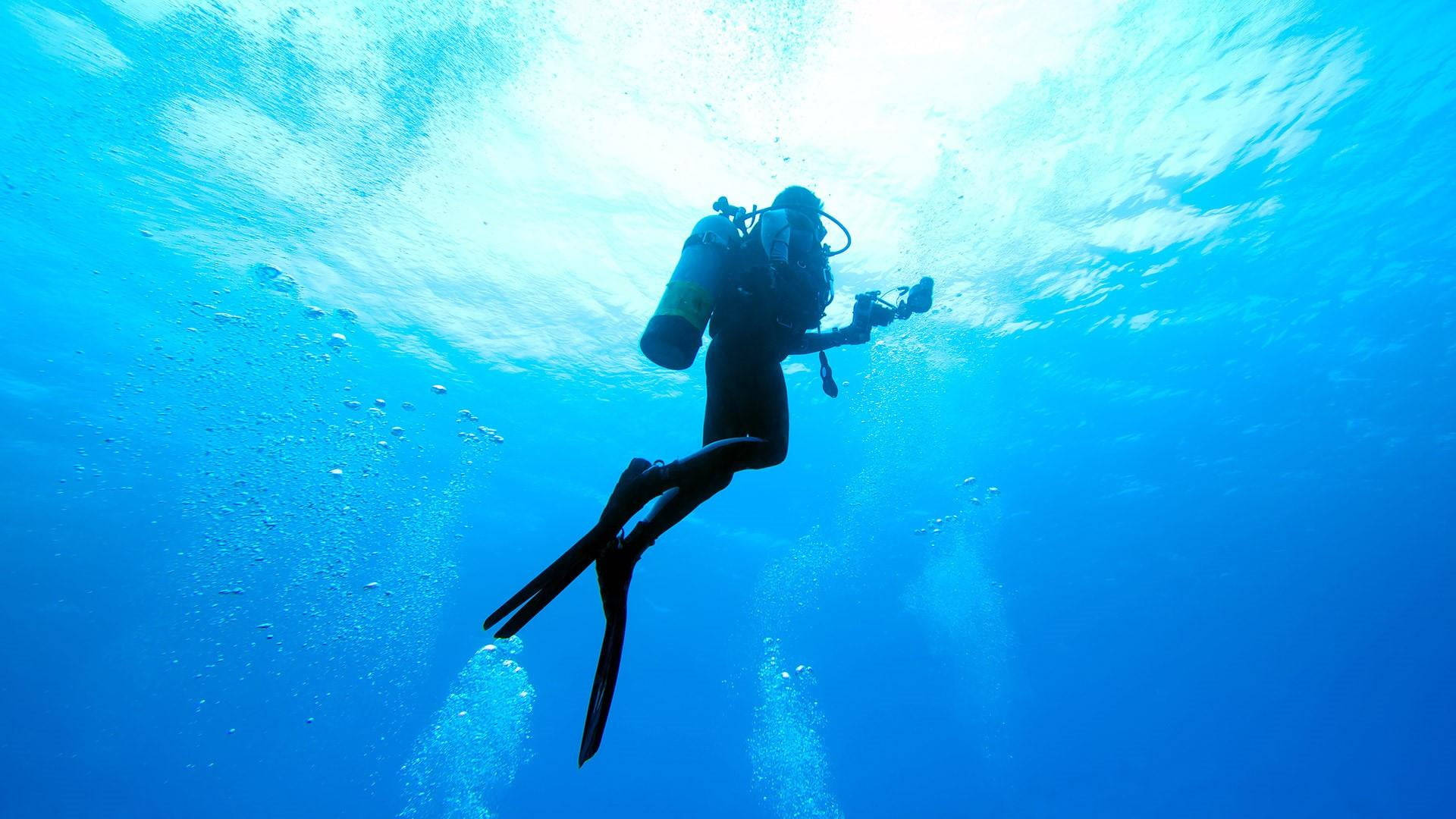 diving 桌布 壁紙 — 一名水肺潛水員在陽光照射的海面襯托下形成剪影，氣泡在清澈的藍色海水中上升。