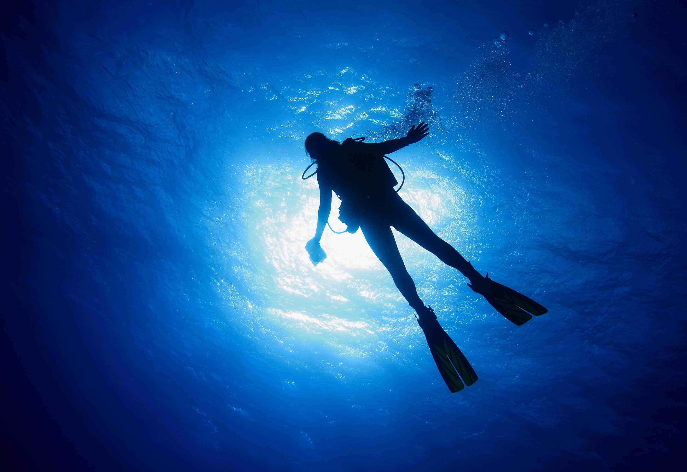 diving 桌布 壁紙 — 一名水肺潛水員的剪影在深藍色海水中向上滑行，朝向陽光照射的海面。
