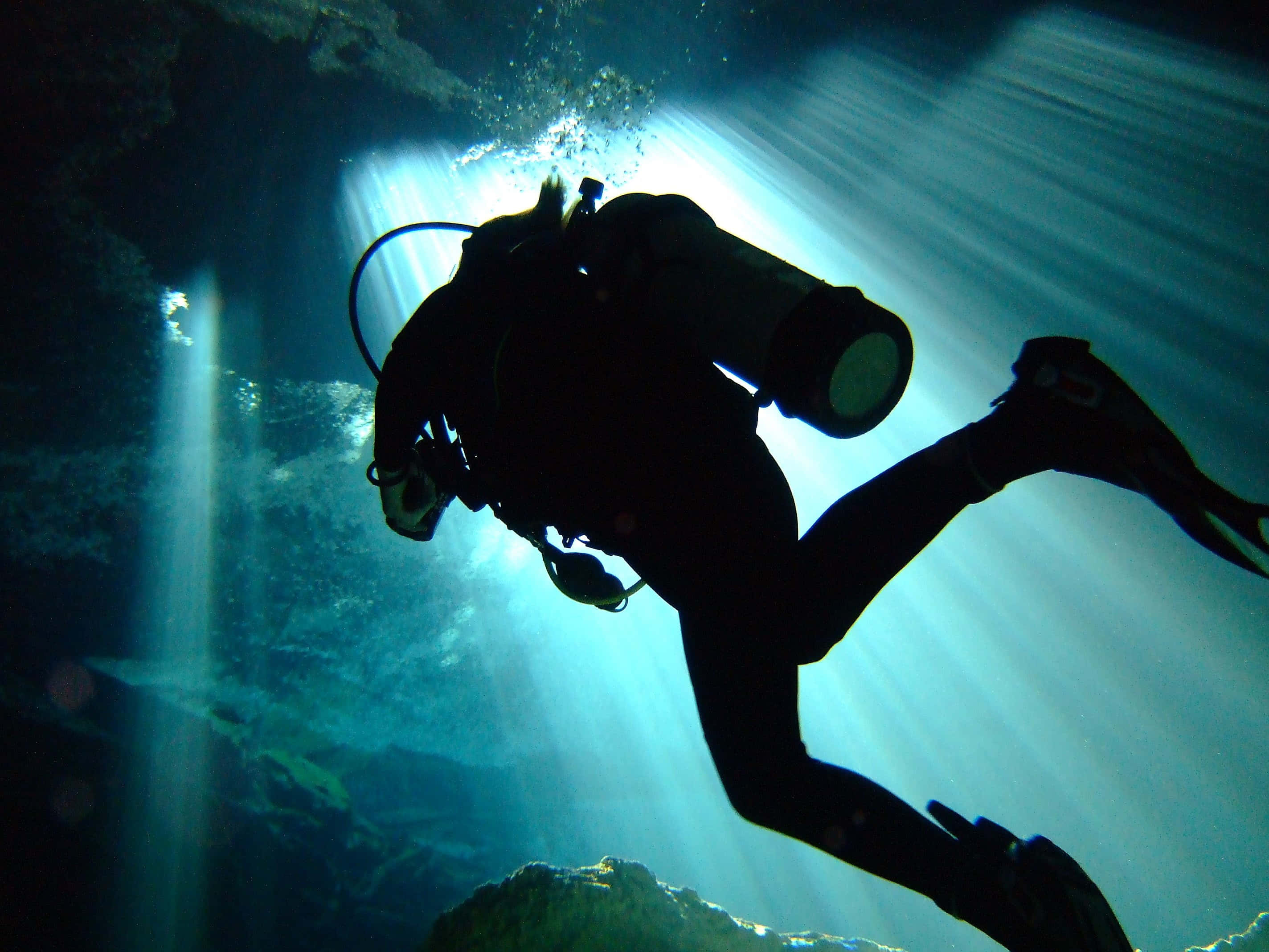 diving 桌布 壁紙 — 一名水肺潛水員的剪影在陽光照射的藍色水中滑行，光線從上方穿透。
