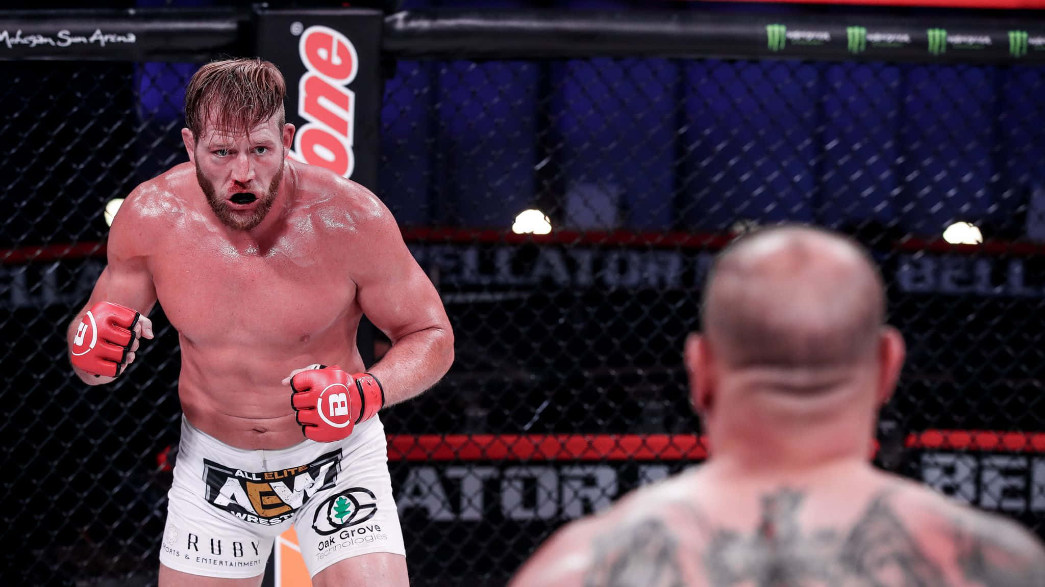運動 桌布 壁紙 — 一名汗流浹背的MMA拳手戴著紅色手套，在Bellator賽事的籠中向對手咆哮。