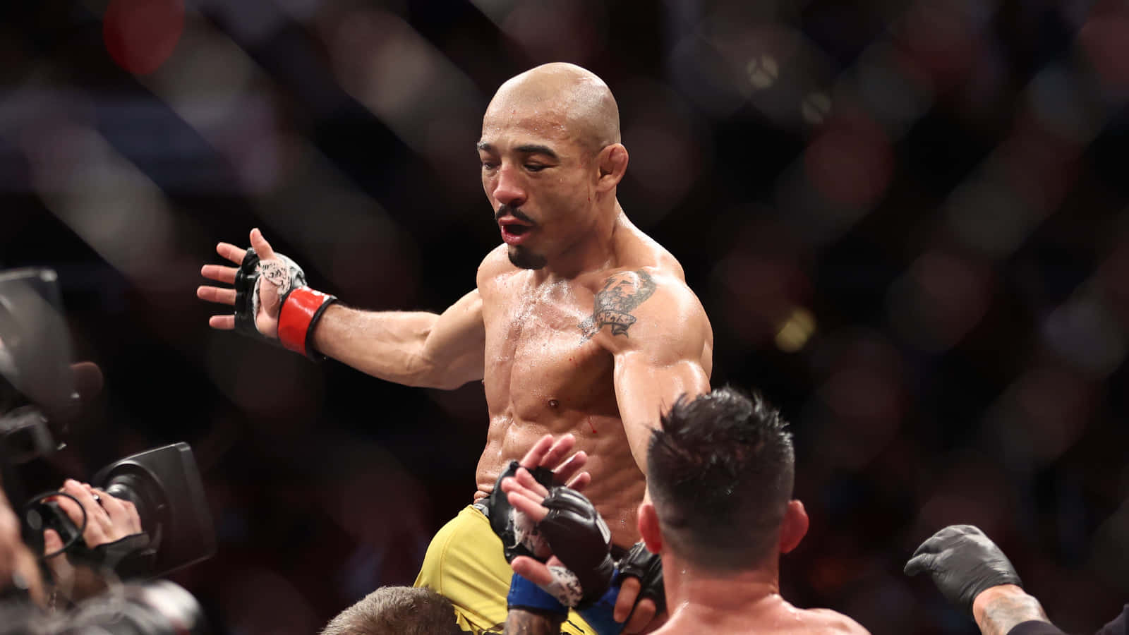 UFC 桌布 壁紙 — 一名汗流浹背的光頭MMA拳手穿著黃色短褲，在八角籠內高舉雙臂慶祝勝利，周圍有攝影師包圍。