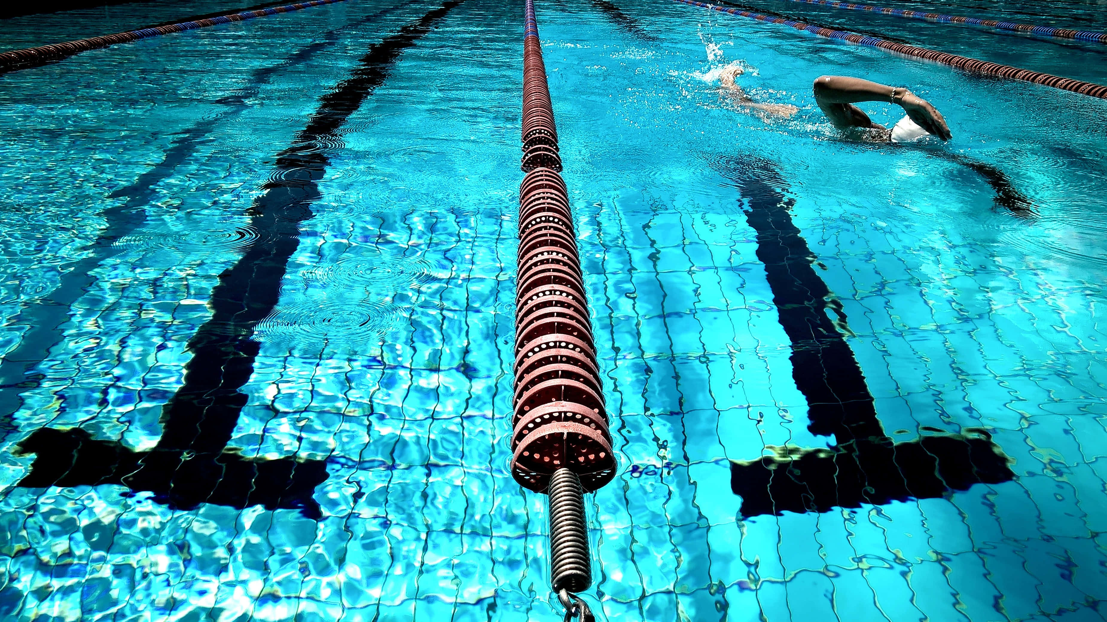 Swimming Pool 桌布 壁紙 — 一名泳者在明亮的頂燈下，於以紅黑繩索標示的泳道中，滑過清澈的藍色水面。