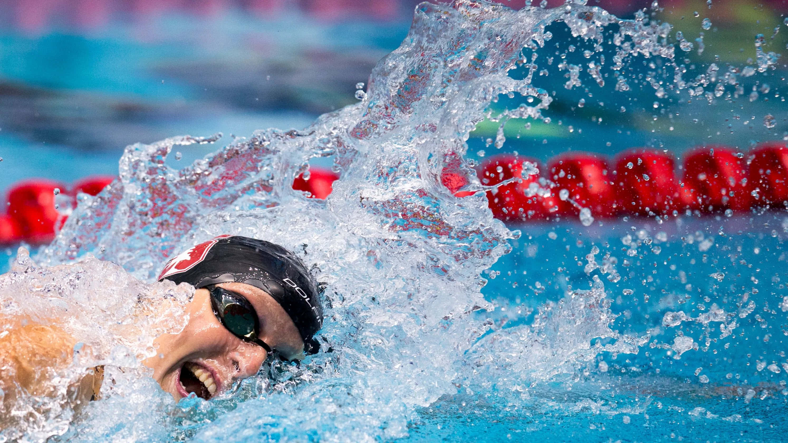 Swimming 桌布 壁紙 — 一名泳者在比賽中以高度專注力划過泳池，水花在其頭部周圍四濺。
