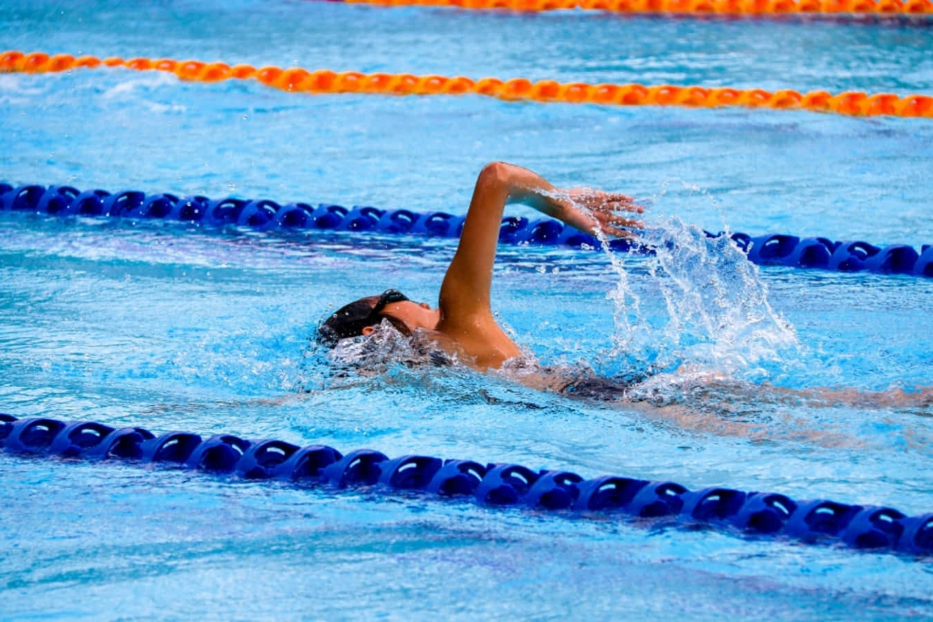 Swimming 桌布 壁紙 — 一名泳者在清澈的藍色泳池水中執行強勁的背泳動作，泳池以鮮豔的橙色和藍色泳道分隔線標記。