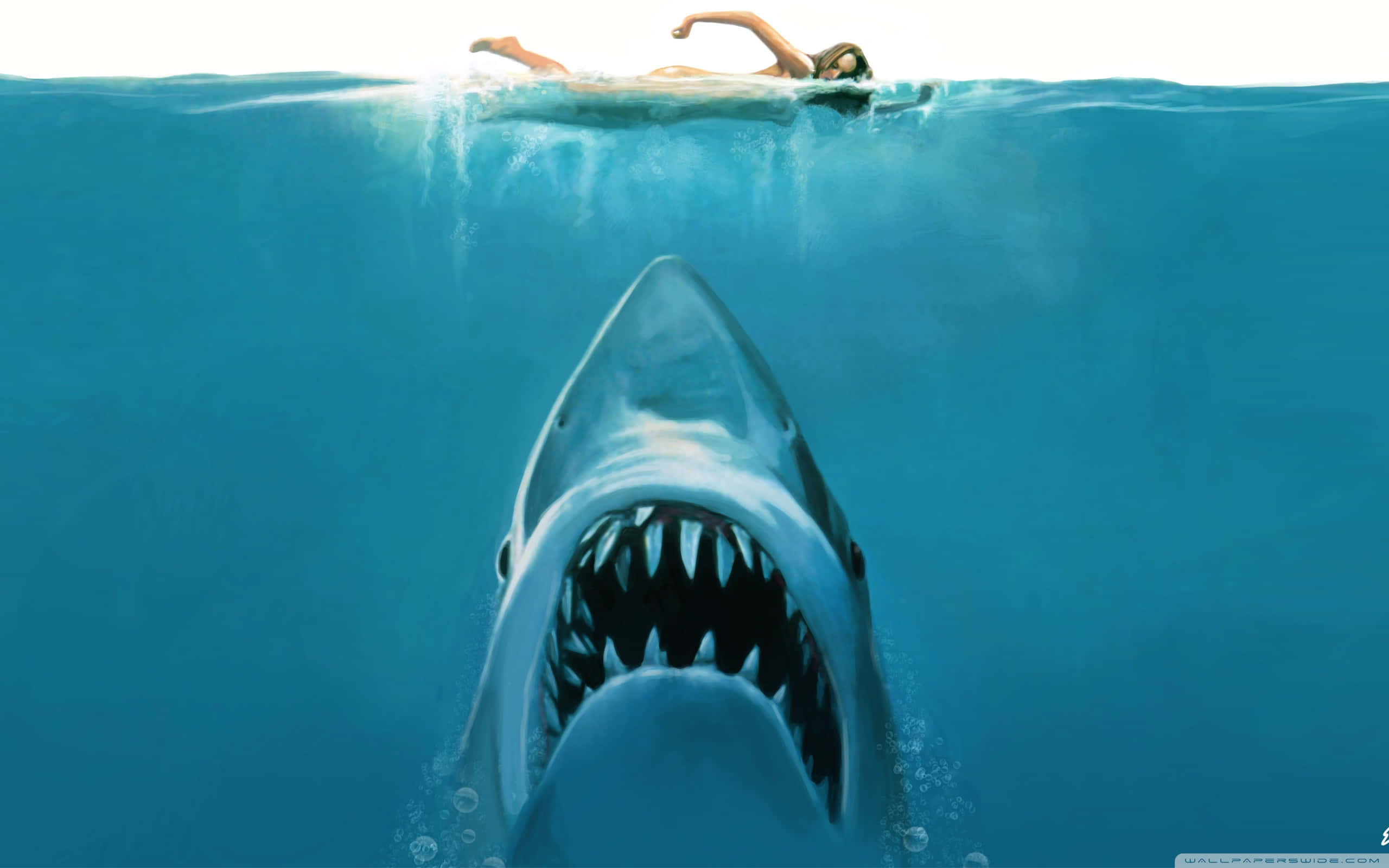 Scary Shark 桌布 壁紙 — 一名泳者平靜地漂浮在海面上，渾然不知下方有一條巨大的鯊魚正張開血盆大口升起。