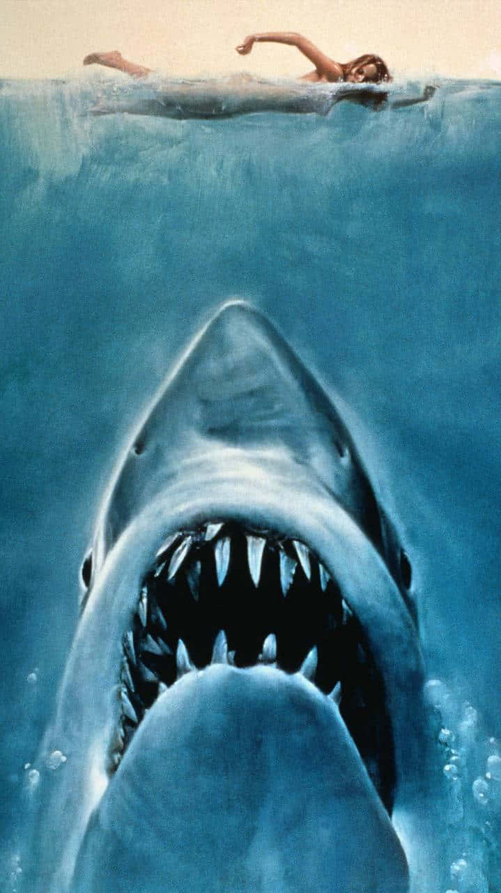 Scary Shark 桌布 壁紙 — 一名泳者漂浮在深藍色海水中，渾然不覺下方有一條巨鯊張開血盆大口向上猛衝。