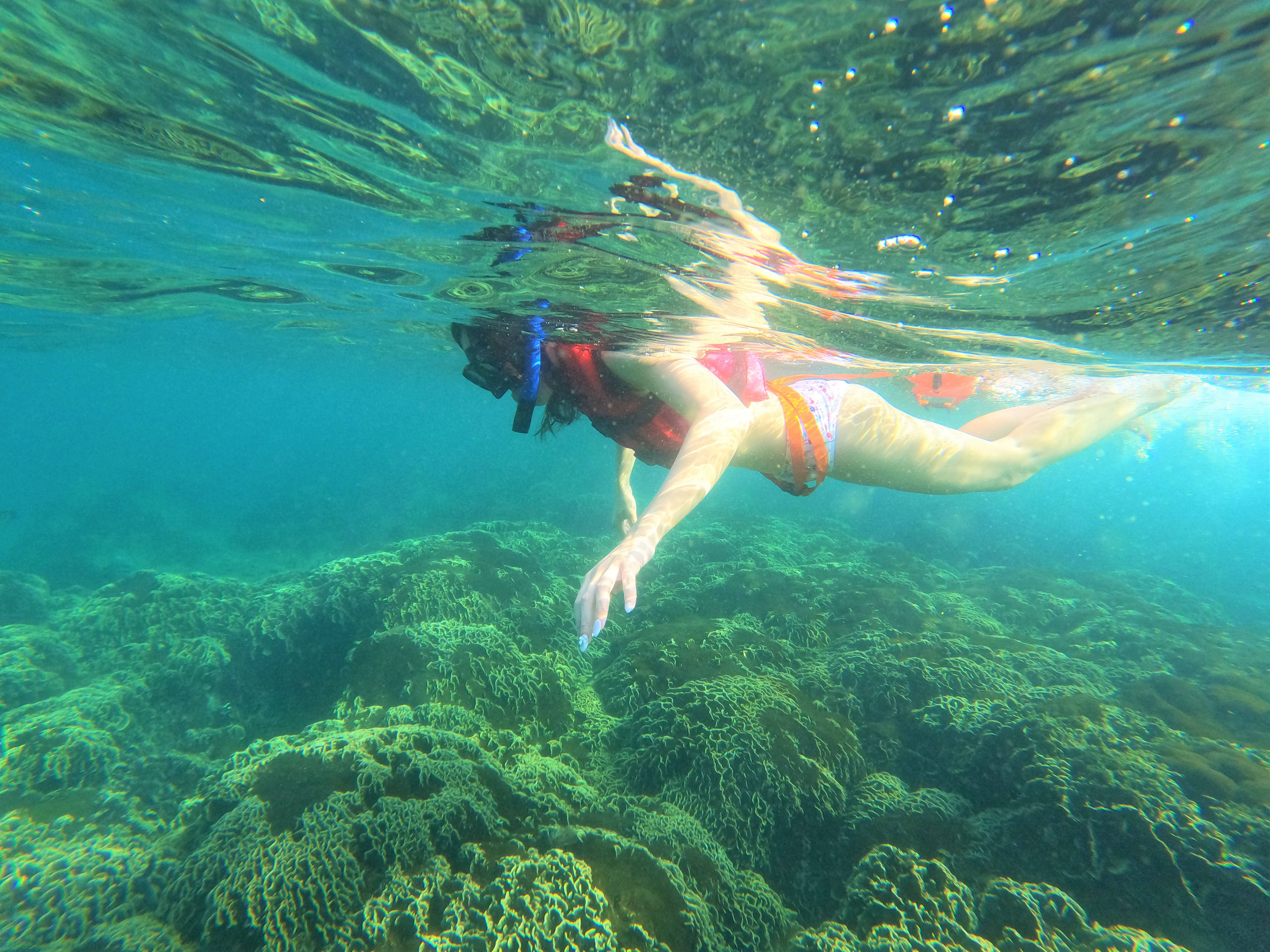 Snorkeling 桌布 壁紙 — 一名浮潛者在水晶般清澈的碧綠海水下，優雅地滑過充滿活力的綠色珊瑚礁。