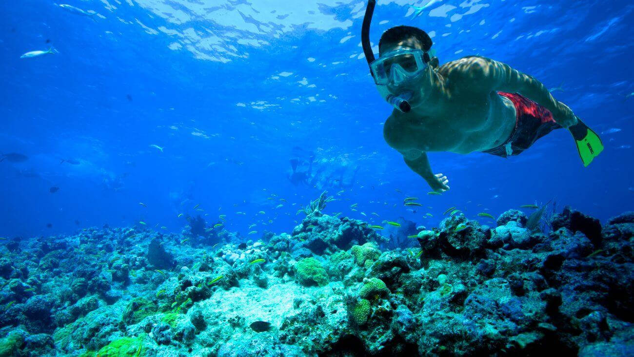 Snorkeling 桌布 壁紙 — 一名浮潛者在清澈湛藍的海水中優雅地滑過充滿色彩繽紛魚類的 vibrant 珊瑚礁。