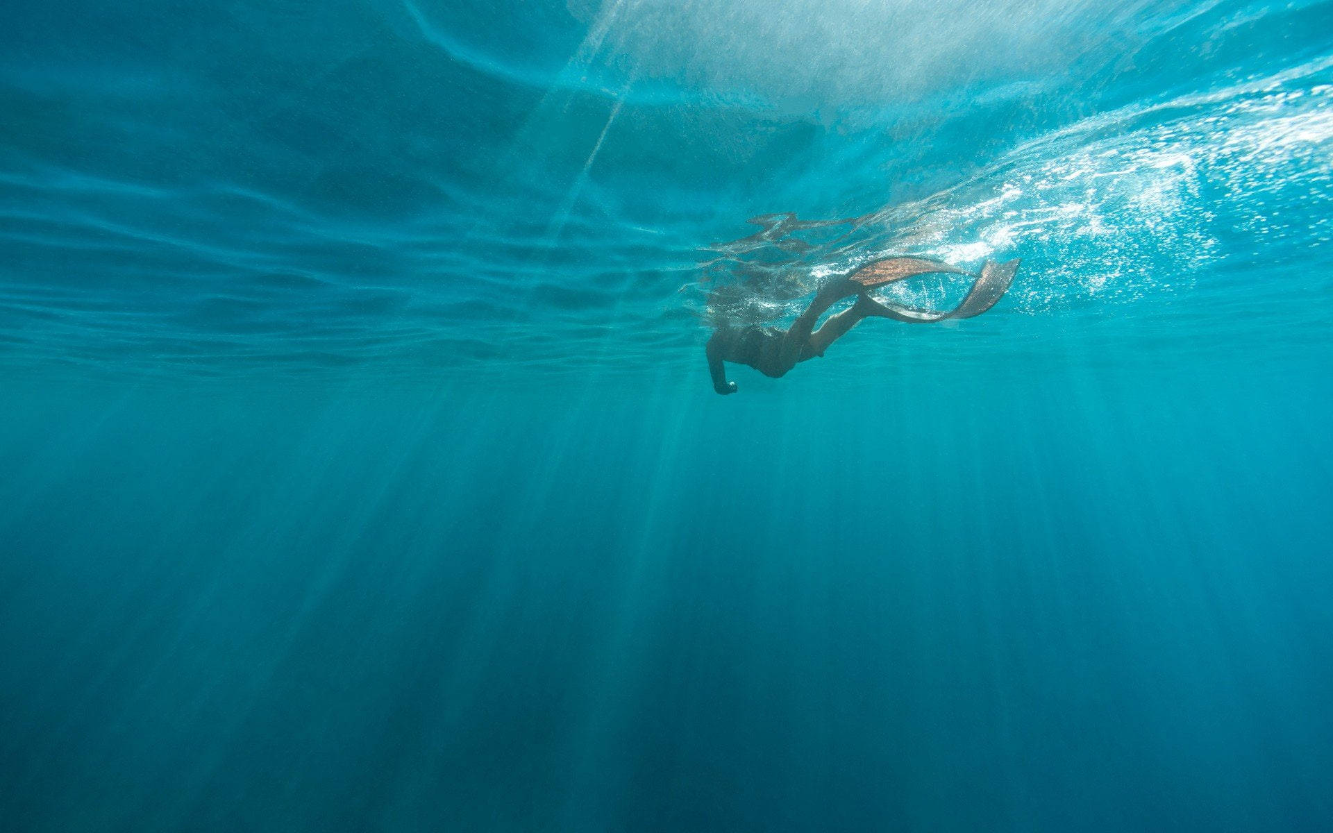 Swimming 桌布 壁紙 — 一名浮潛者在清澈的碧綠海水中滑行，陽光從水面照射下來。