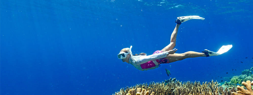 Swimming 桌布 壁紙 — 一名浮潛者在清澈的藍色海水下優雅地滑過充滿活力的珊瑚礁。
