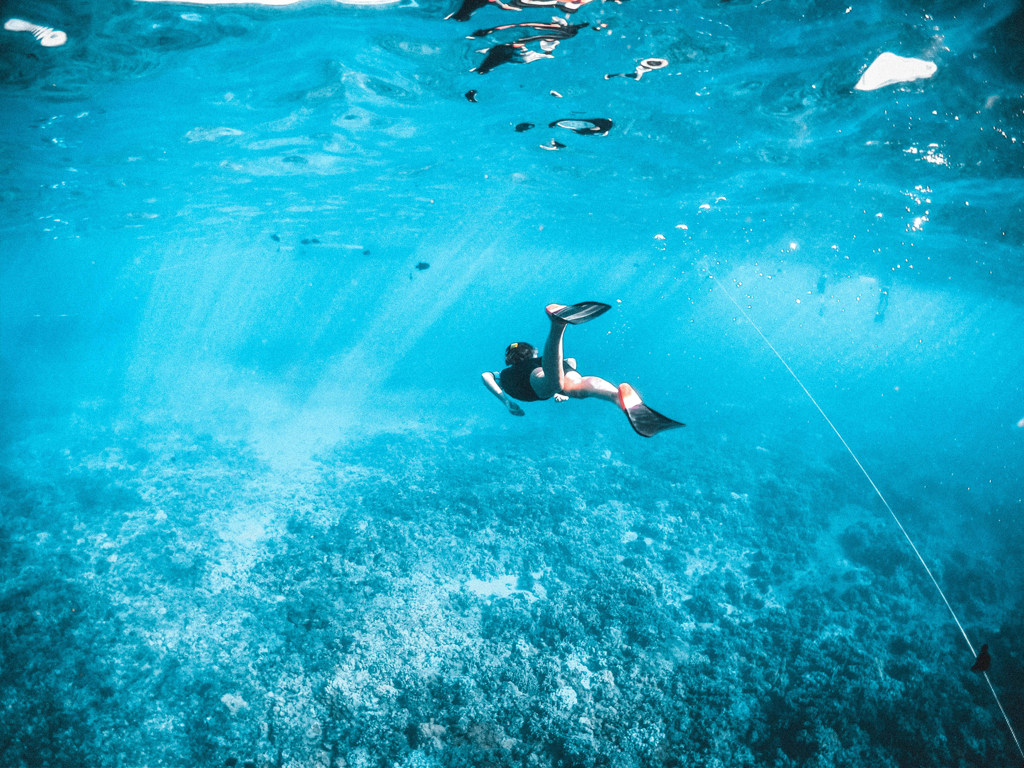 Snorkeling 桌布 壁紙 — 一名浮潛者在清澈碧綠的海水中滑行，上方是陽光照射的珊瑚礁，光線穿透水面。
