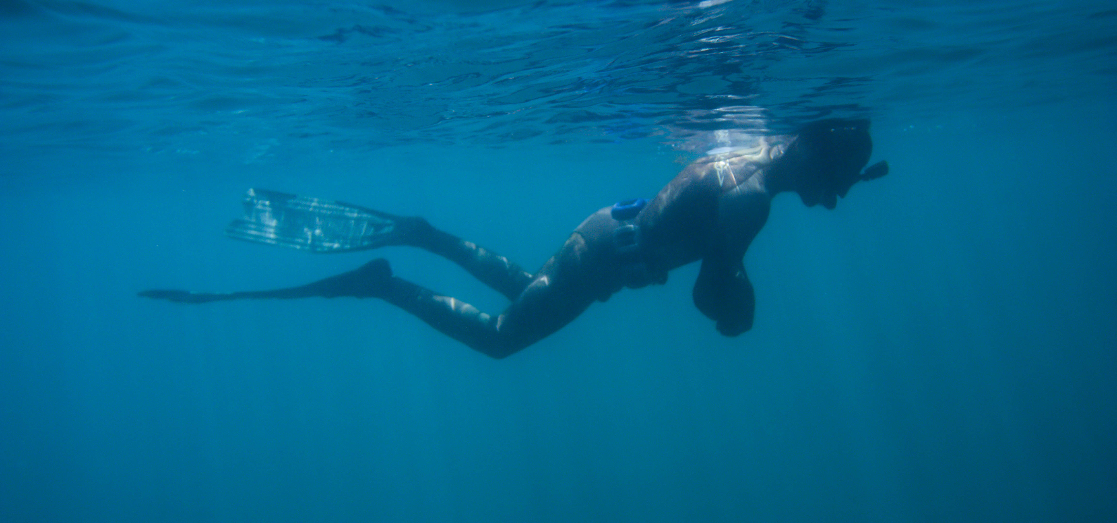 Snorkeling 桌布 壁紙 — 一名浮潛者在陽光照射的水面下，優雅地滑過清澈的碧綠海水。