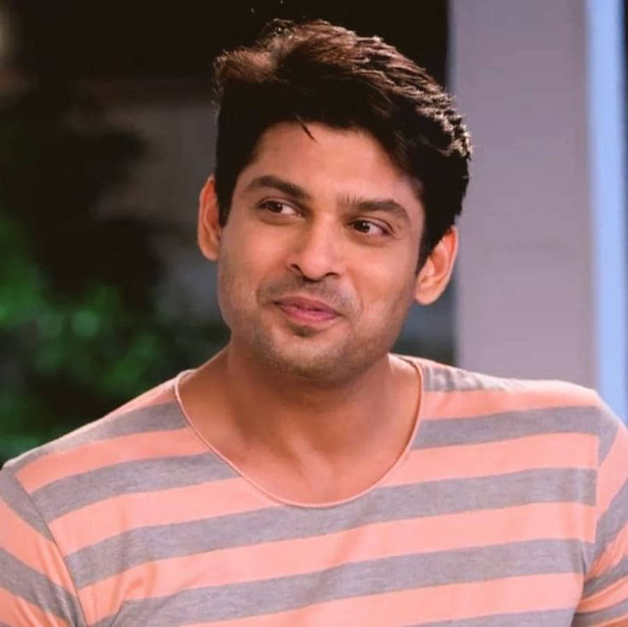 Sidharth Shukla 桌布 壁紙 — 一名深色頭髮、面帶微笑的男子穿著桃色和灰色條紋襯衫，背景是模糊的室內環境。