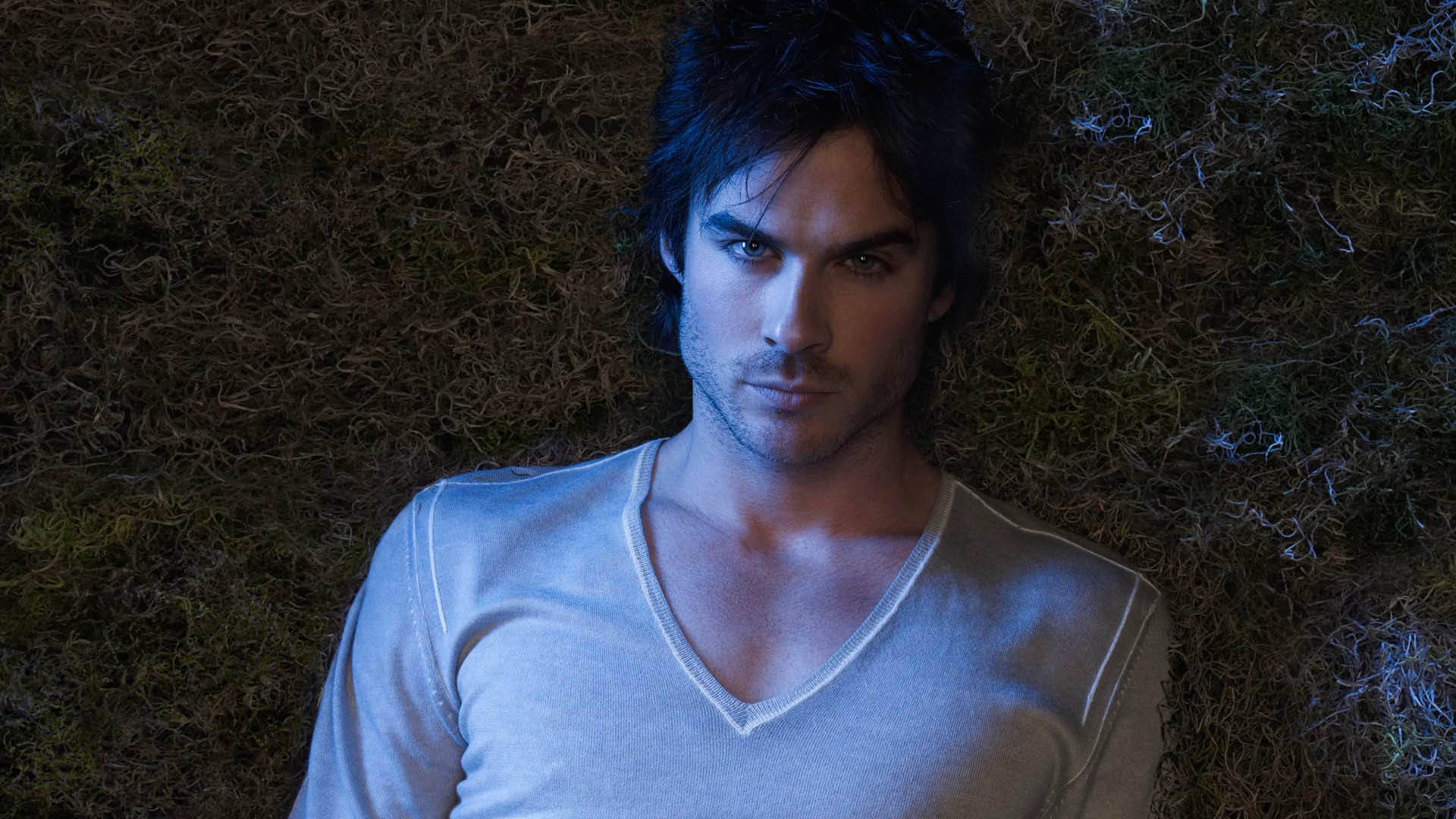 The Vampire Diaries 桌布 壁紙 — 一名深色頭髮的男子躺在長滿苔蘚的地面上，在冷藍色燈光下專注地向上凝視。