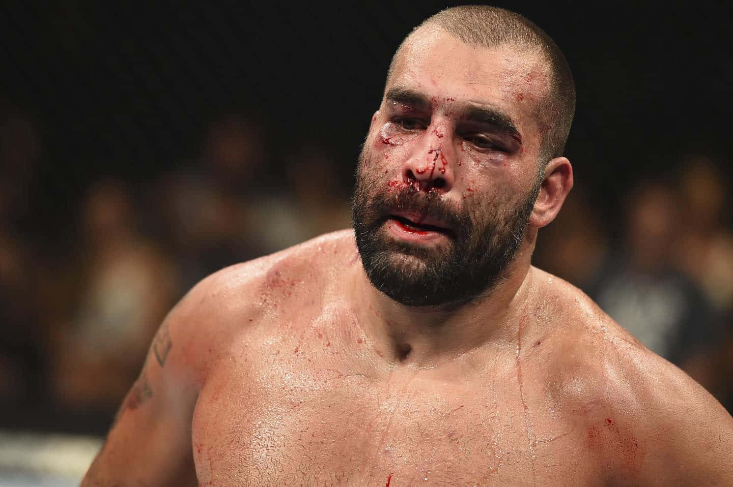 MMA 桌布 壁紙 — 一名渾身是血、筋疲力竭的綜合格鬥選手在擂台燈光下，於一場殘酷的比賽後凝視著。