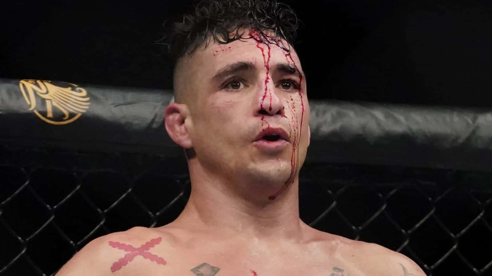 MMA 桌布 壁紙 — 一名渾身是血的戰士，胸口有刺青，在黑暗的MMA八角籠內凝視著。
