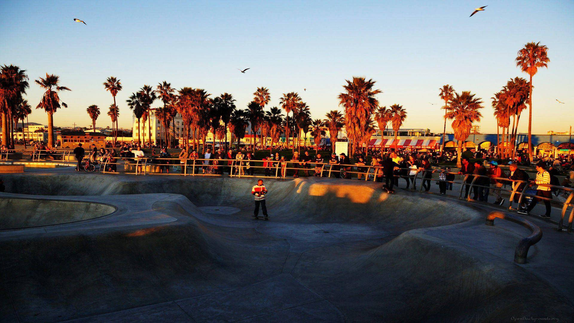 Venice Beach 桌布 壁紙 — 一名滑板手在熱鬧的海濱滑板公園的混凝土碗池中蓄勢待發，金色的夕陽灑在棕櫚樹和觀眾身上。