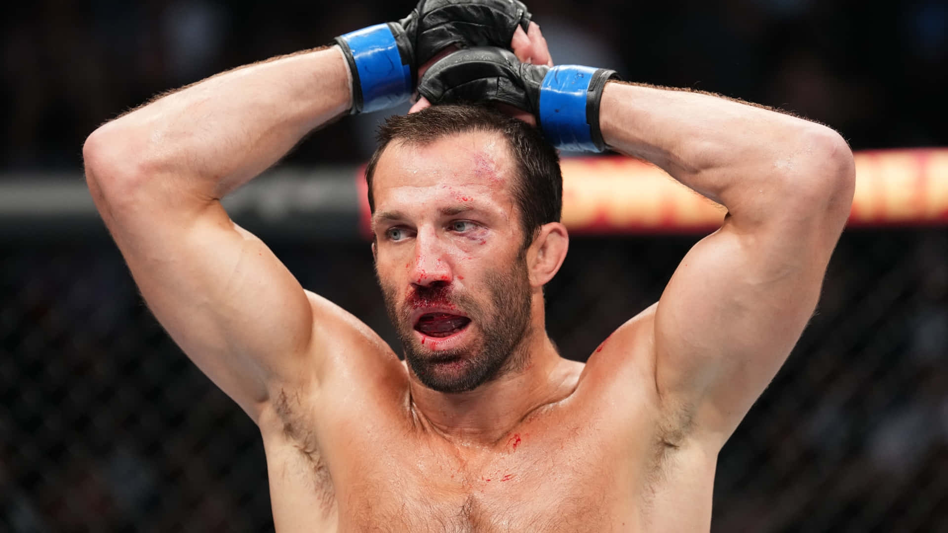 UFC 桌布 壁紙 — 一名滿身鮮血的MMA拳手在八角籠內疲憊地高舉雙臂。