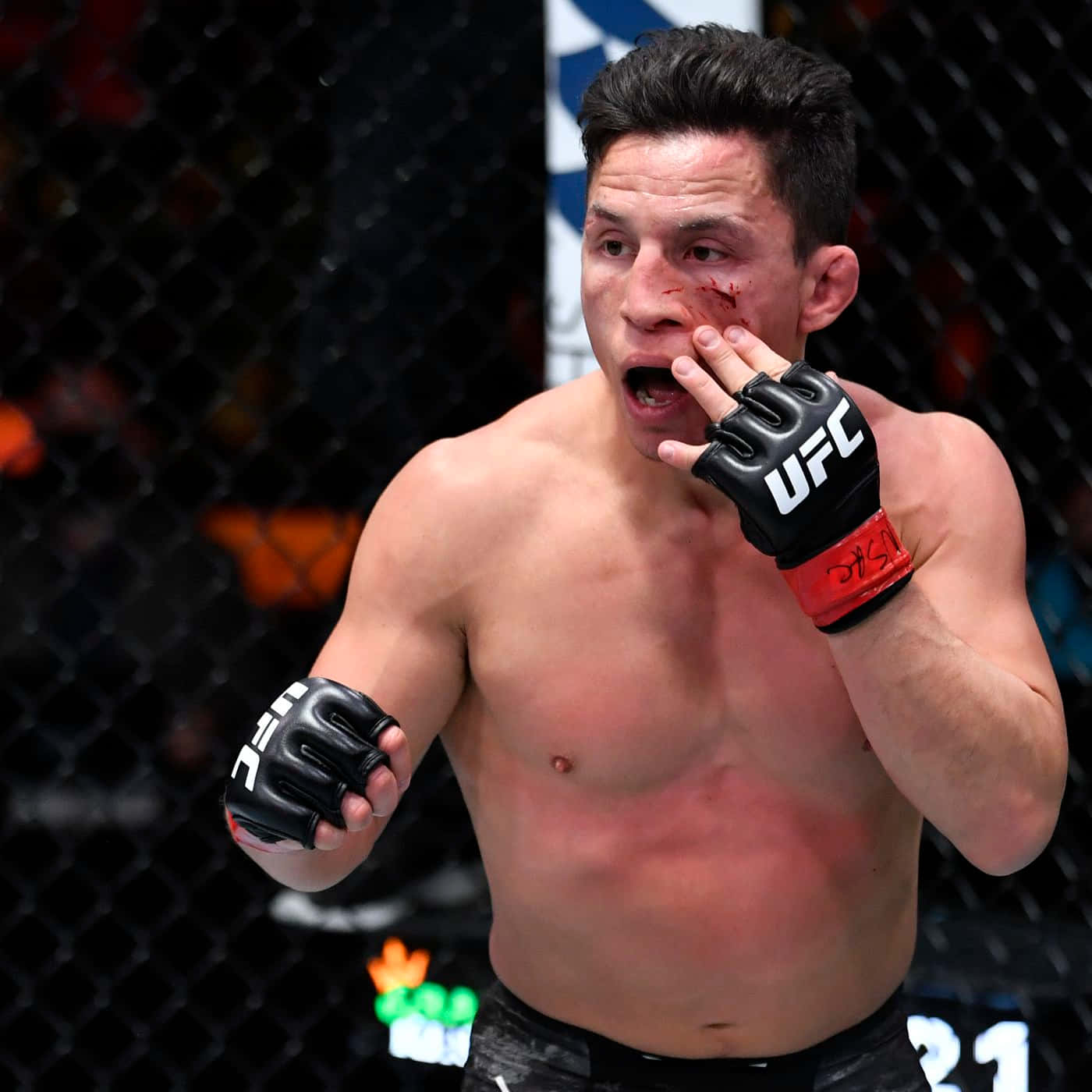 UFC 桌布 壁紙 — 一名滿面鮮血的UFC拳手戴著黑色手套，在明亮的場館燈光下於八角籠內激烈反應。