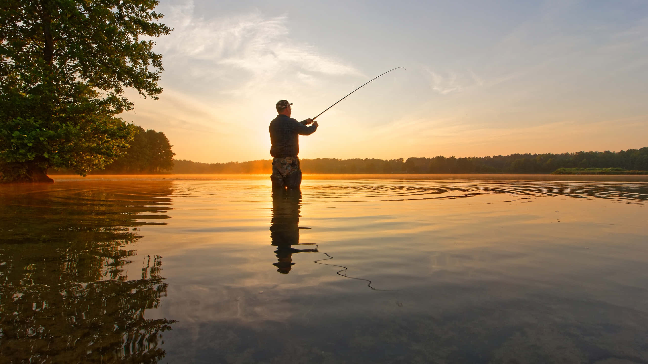 Fishing Rod 桌布 壁紙 — 一名漁夫站在平靜的湖中水深及腰處，在日出時分拋線，金色光線反射在水面和樹木上。