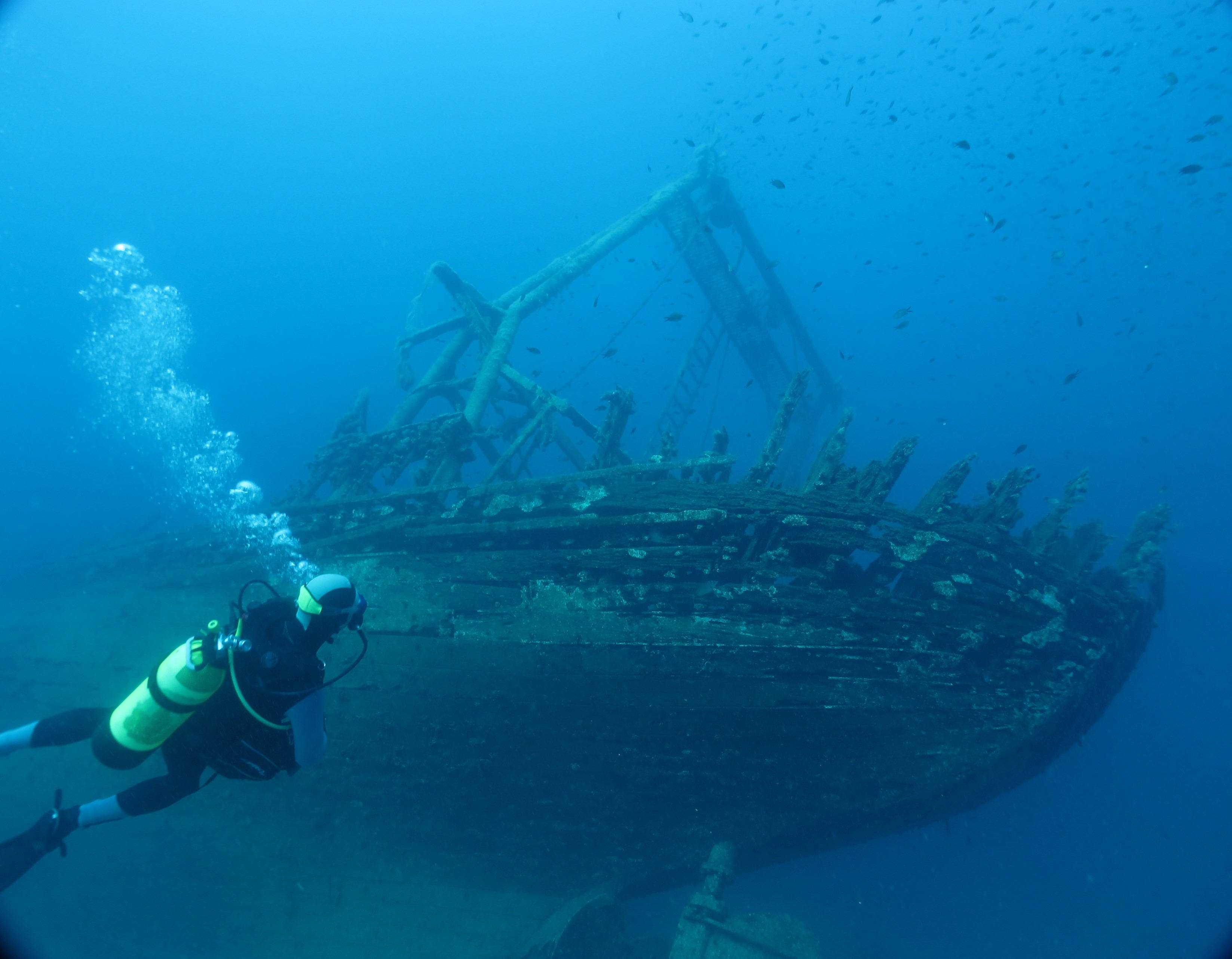 diving 桌布 壁紙 — 一名潛水員在水下探索一艘沉船，氣泡上升，魚群在生鏽的船體周圍游動。