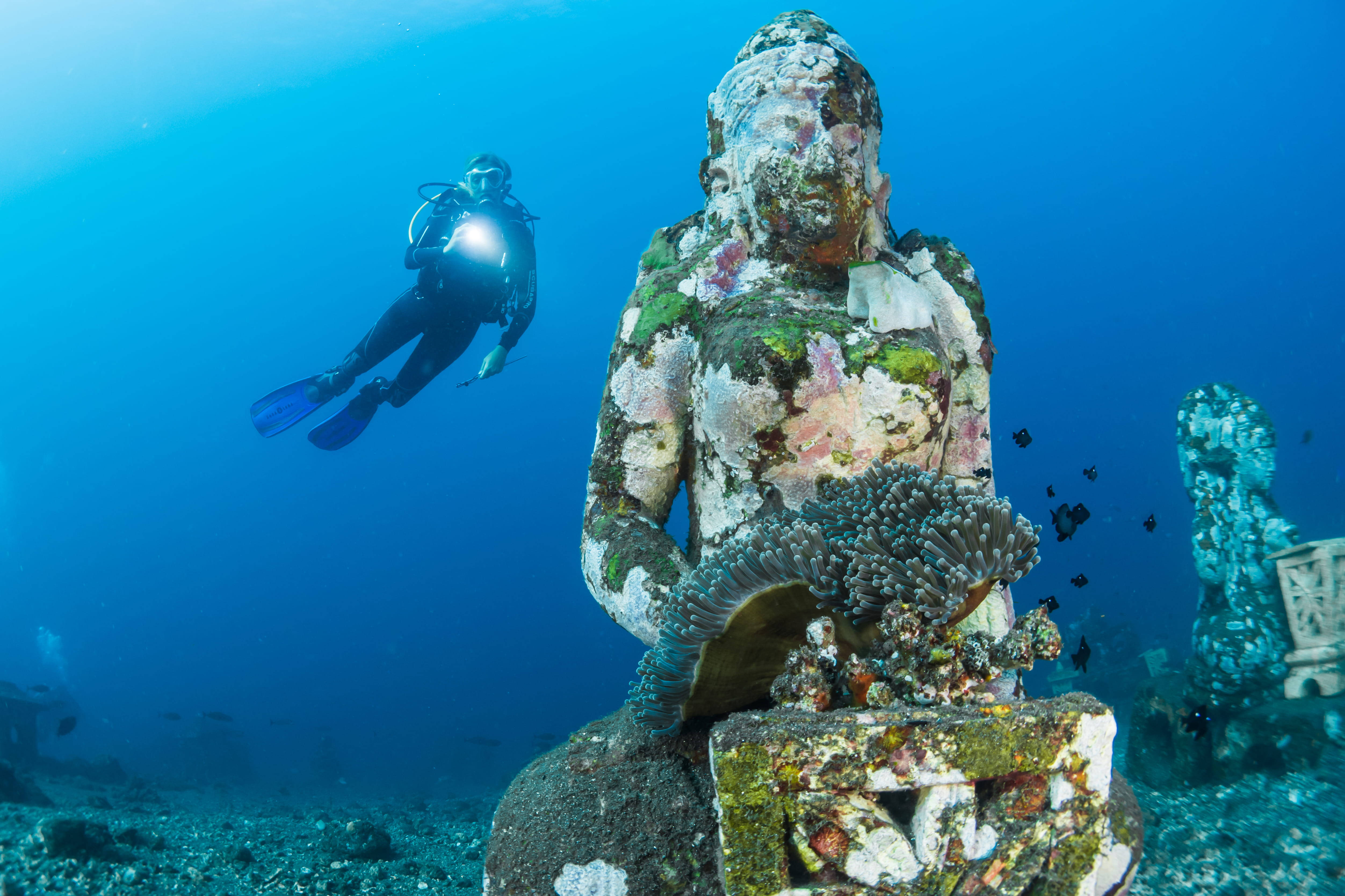 diving 桌布 壁紙 — 一名潛水員在水下探索被珊瑚和海洋生物覆蓋的古老佛像。