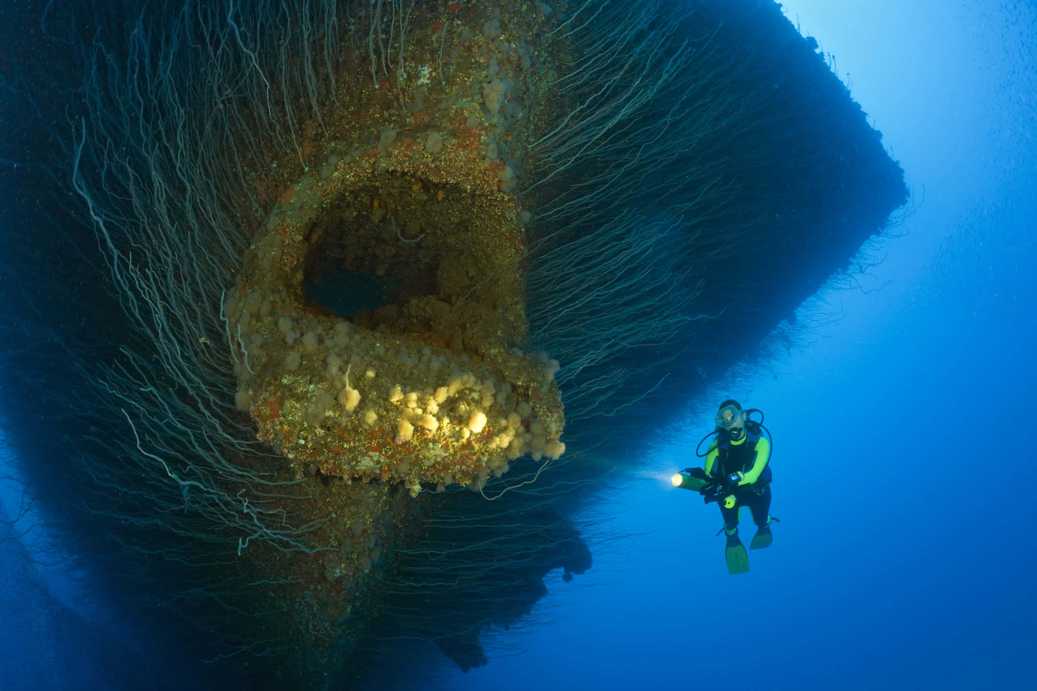 Underwater Scary Ocean 桌布 壁紙 — 一名潛水員在深藍色海水下探索一個被珊瑚和海綿覆蓋的巨大沉船。