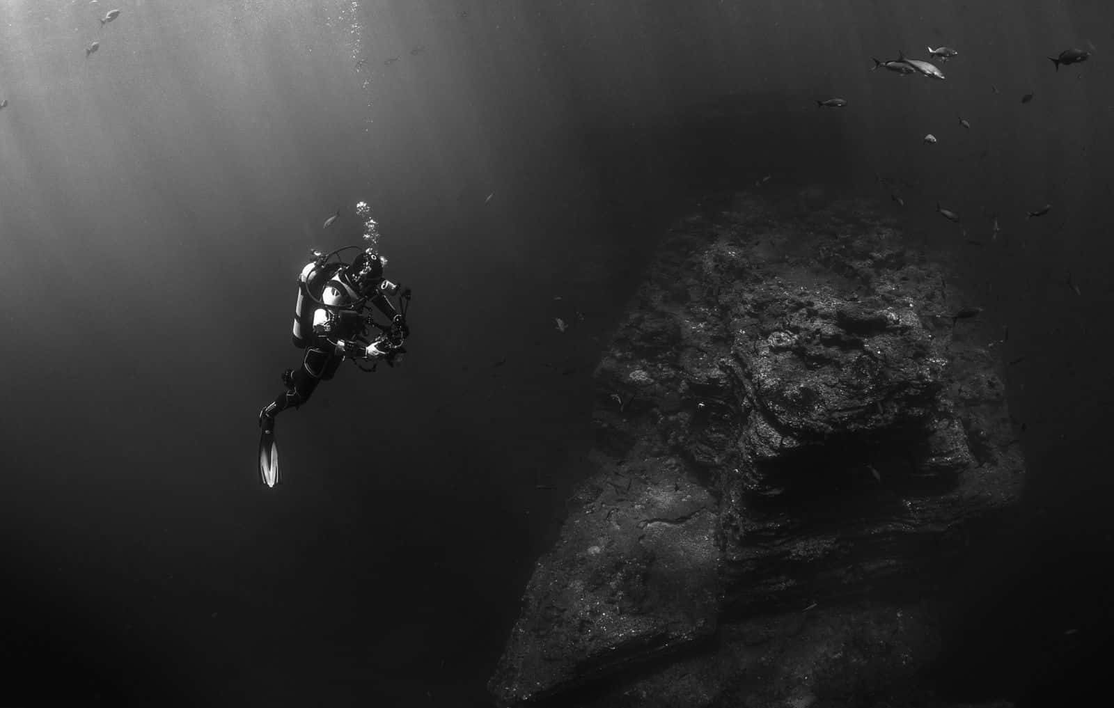Black And White Ocean 桌布 壁紙 — 一名潛水員探索陽光照射的水下峽谷，魚群以單色游過。