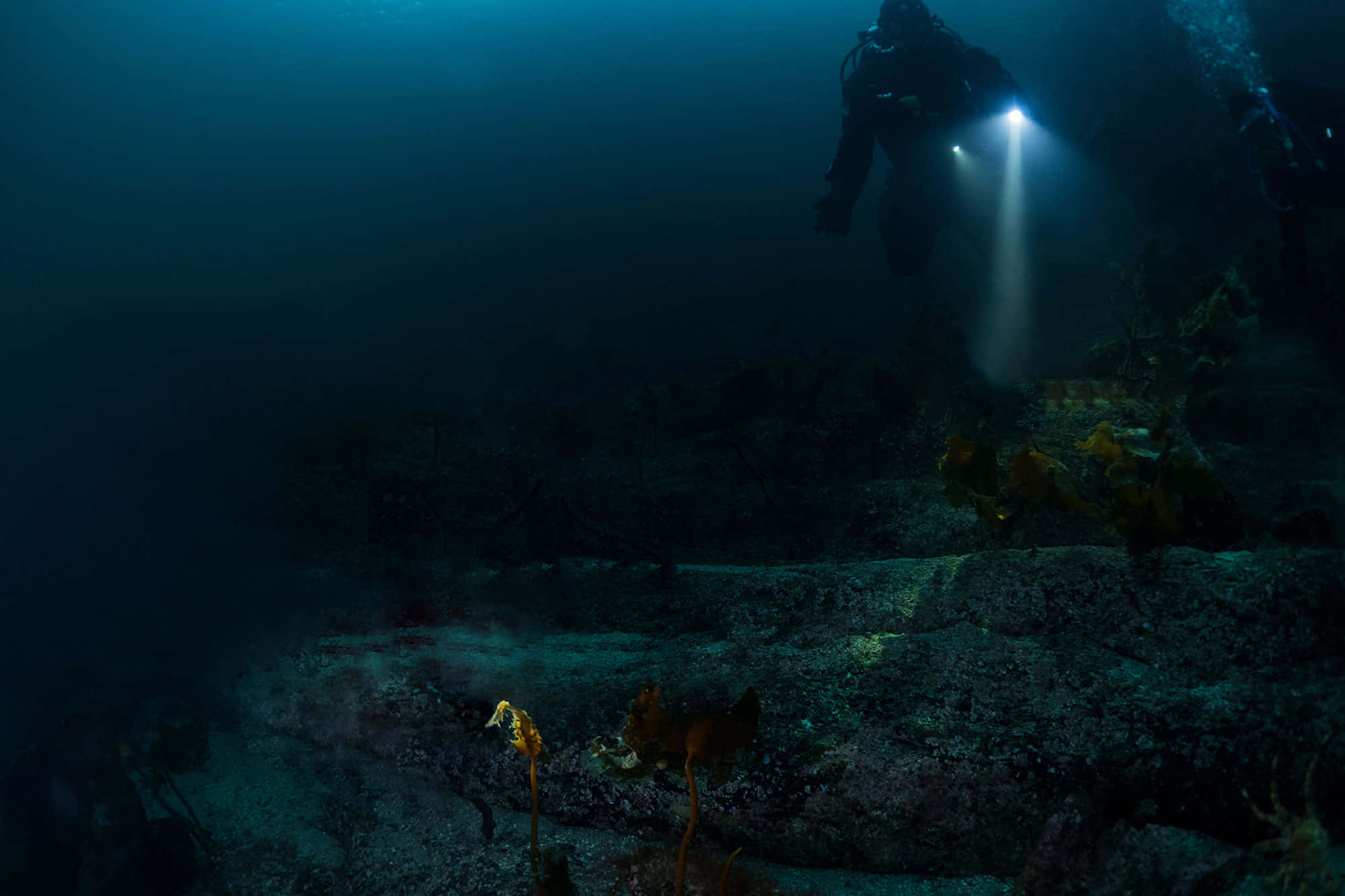 Scary Underwater 桌布 壁紙 — 一名潛水員用明亮的手電筒探索被海洋生物覆蓋的黑暗水下遺跡。