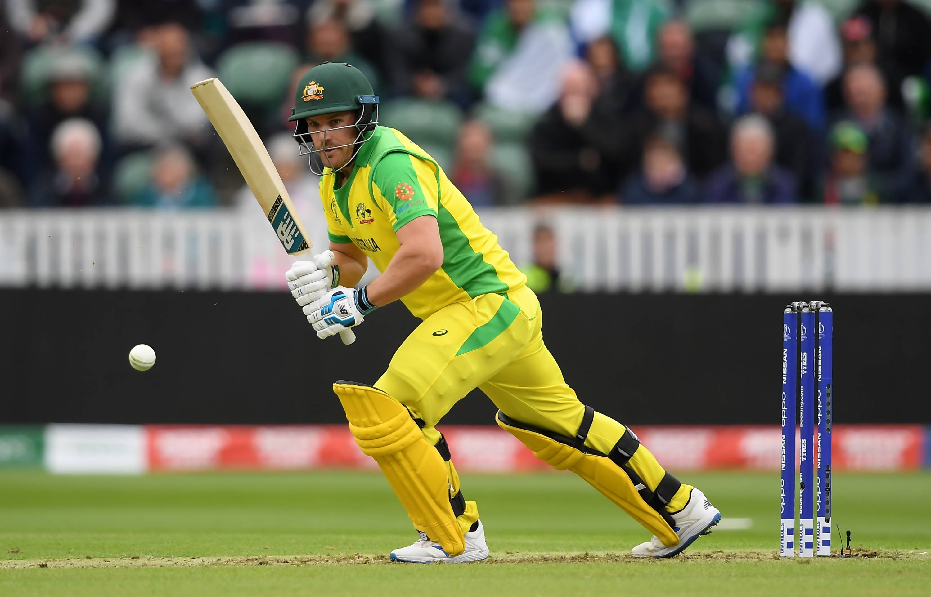 Aaron Finch 桌布 壁紙 — 一名澳洲板球擊球手身穿黃綠相間的球衣，在綠色場地上比賽時揮動球棒擊打白色球。