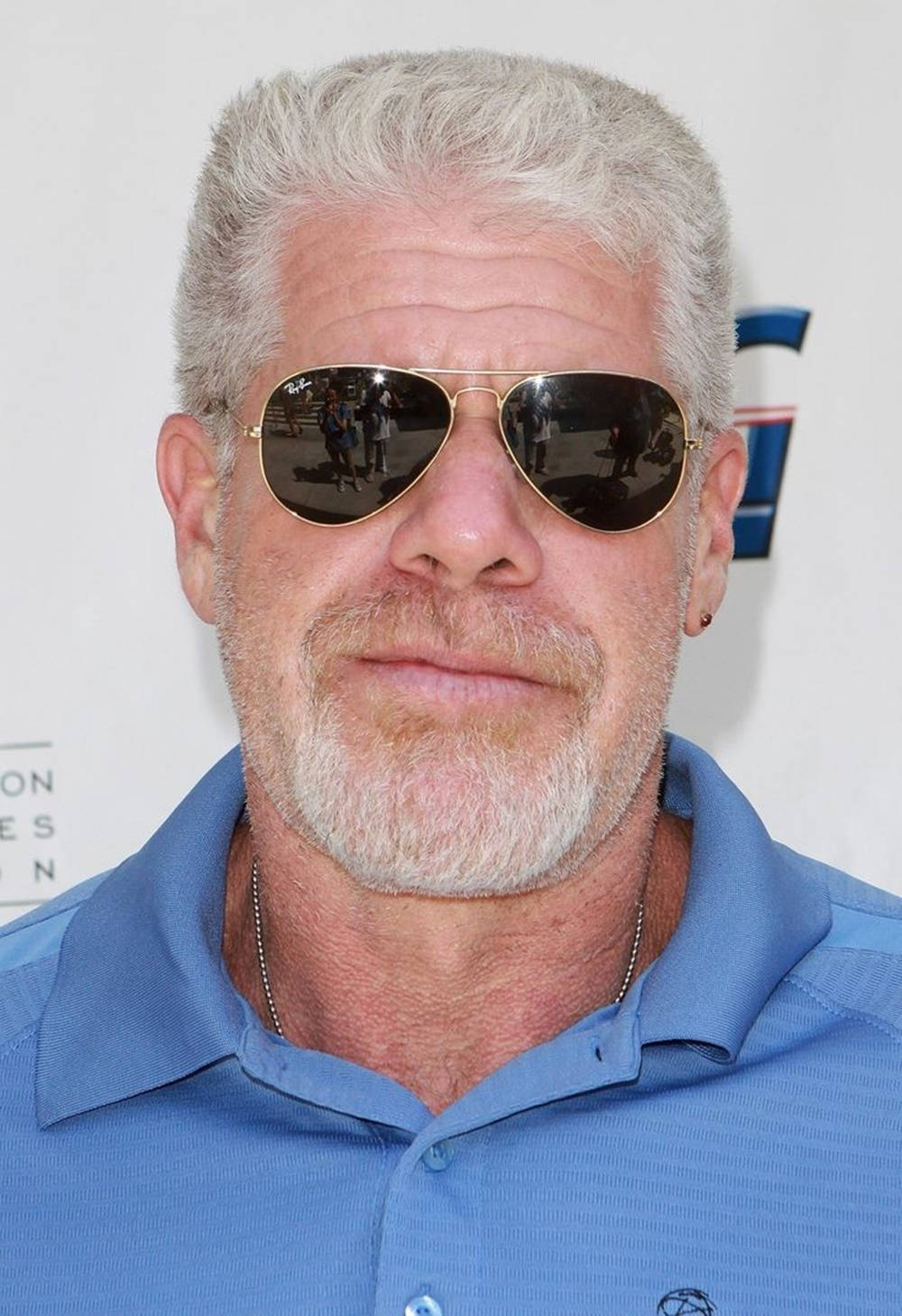Celebrity 桌布 壁紙 — 一名灰髮鬍鬚男士的近照，戴著金色邊框飛行員太陽眼鏡和藍色Polo衫。