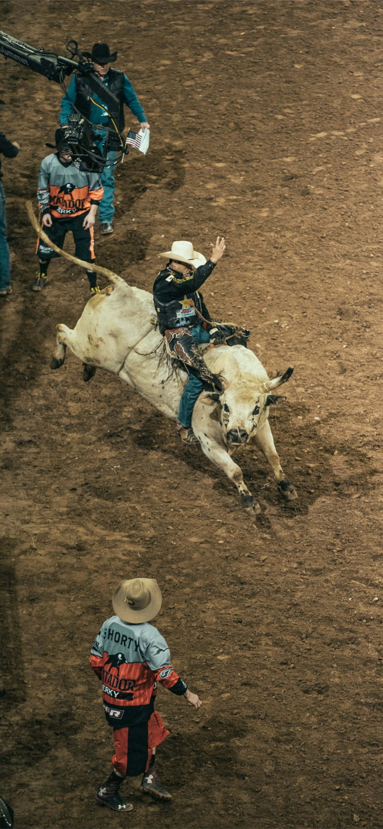 Bull Riding 桌布 壁紙 — 一名牛仔在塵土飛揚的牛仔競技場中緊抓著一頭狂跳的白牛，而一名牛仔小丑在下方觀看。