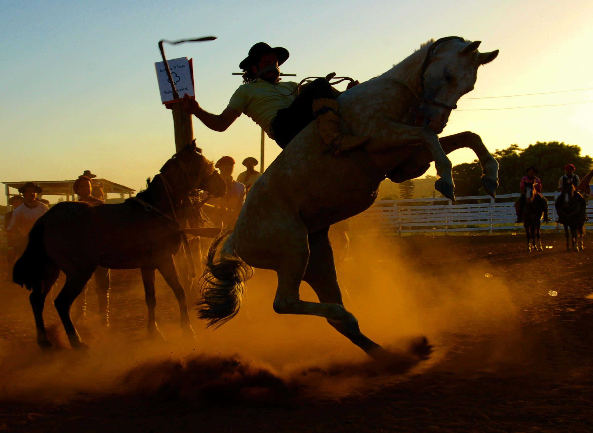 Horse Riding 桌布 壁紙 — 一名牛仔在日落時分騎著一匹尥蹶子的白馬，在牛仔競技場中塵土飛揚。