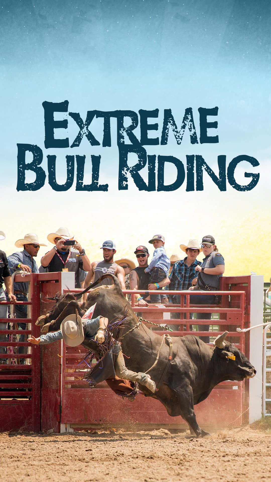 Bull Riding 桌布 壁紙 — 一名牛仔在極限騎牛賽事中被一頭亂踢的公牛摔下，觀眾在紅色圍欄後觀看。