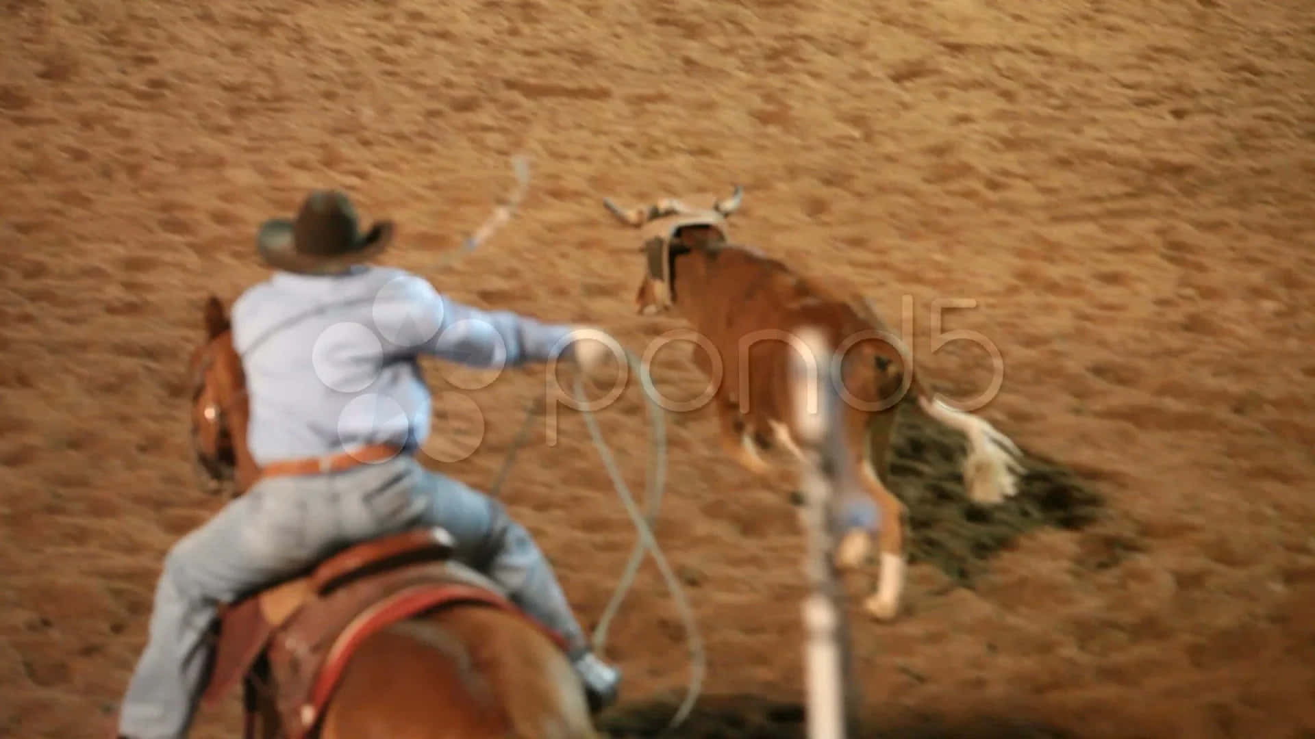 Team Roping 桌布 壁紙 — 一名牛仔騎在狂跳的馬上，在塵土飛揚的牛仔競技場中向奔跑的小牛揮舞套索。