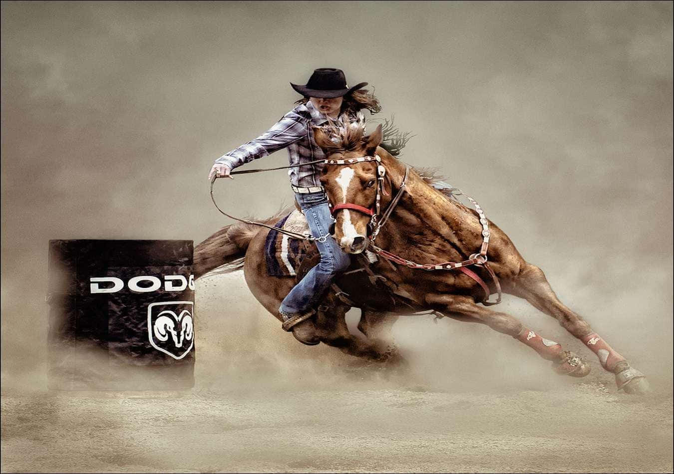 Rodeo 桌布 壁紙 — 一名牛仔騎著一匹狂野的野馬，在塵土飛揚的牛仔競技場上跳過一個Dodge桶。