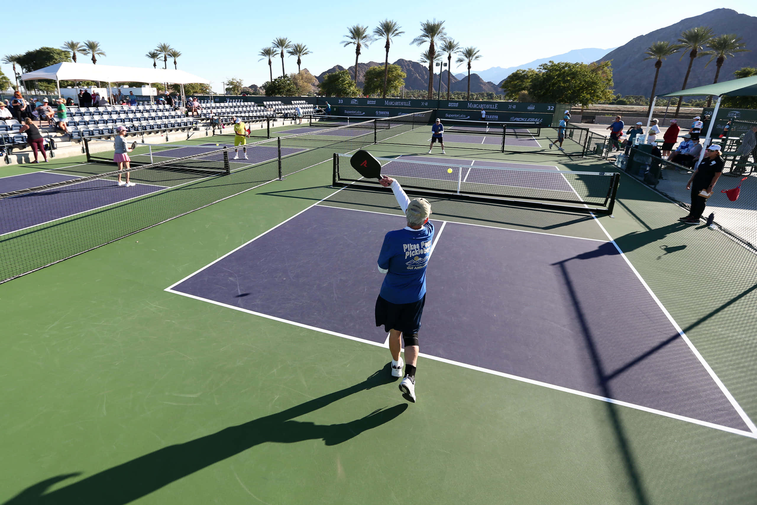Pickleball 桌布 壁紙 — 一名玩家在充滿活力的綠色和紫色匹克球場上揮動球拍擊球，背景是明亮的沙漠陽光、棕櫚樹和山脈。