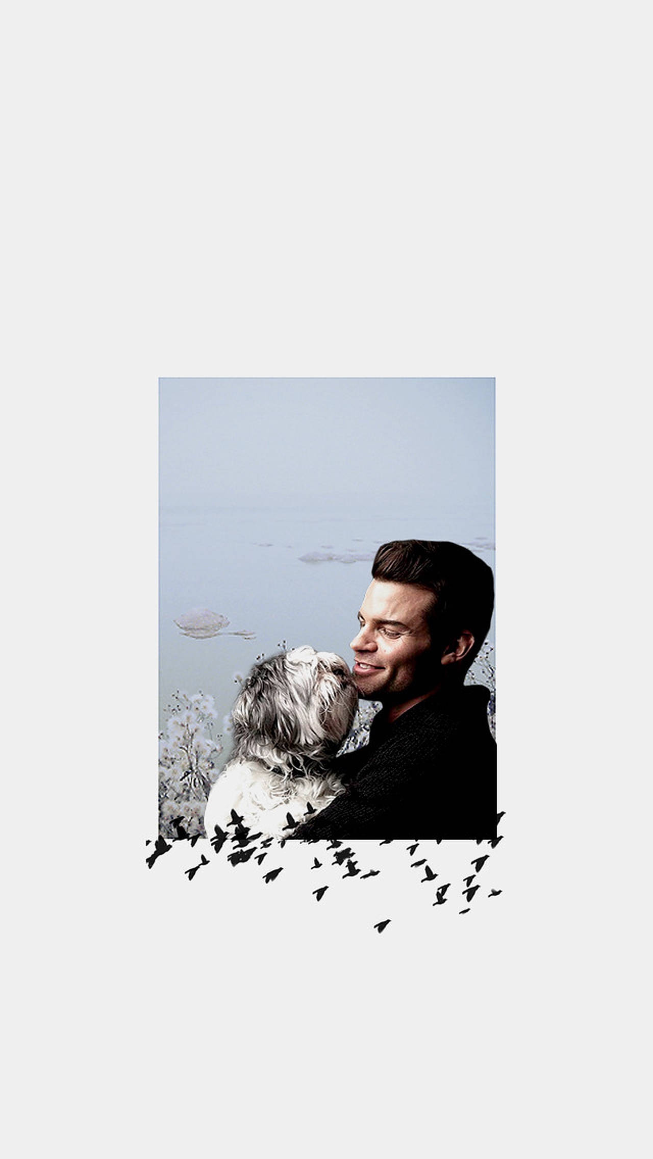 Daniel Gillies 桌布 壁紙 — 一名男子在寧靜的水景背景下，溫暖地微笑著擁抱一隻毛茸茸的白狗，下方有鳥兒飛翔。