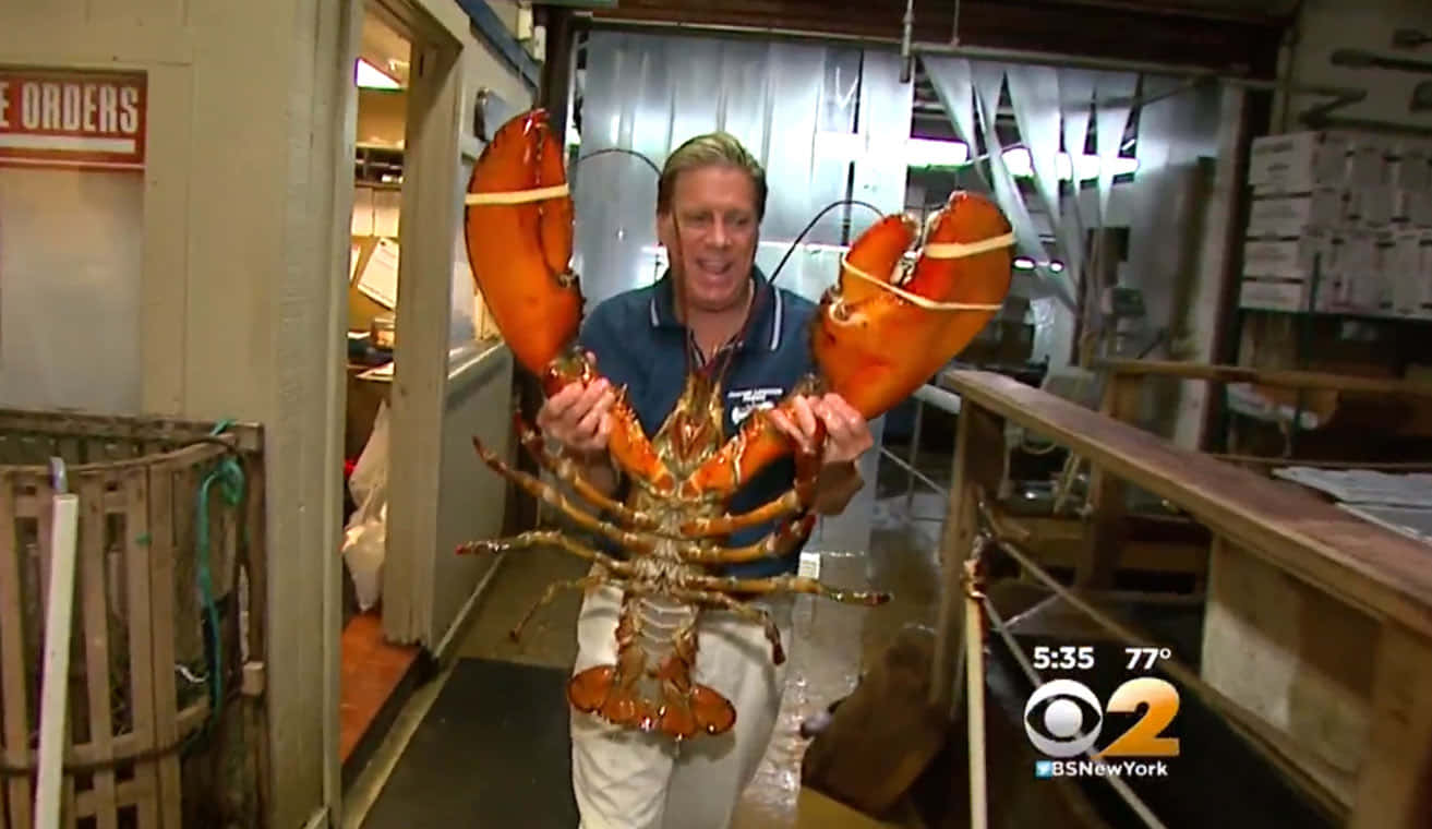 Lobster 桌布 壁紙 — 一名男子在海鲜市场自豪地举起一只带有亮橙色钳子的大活龙虾。