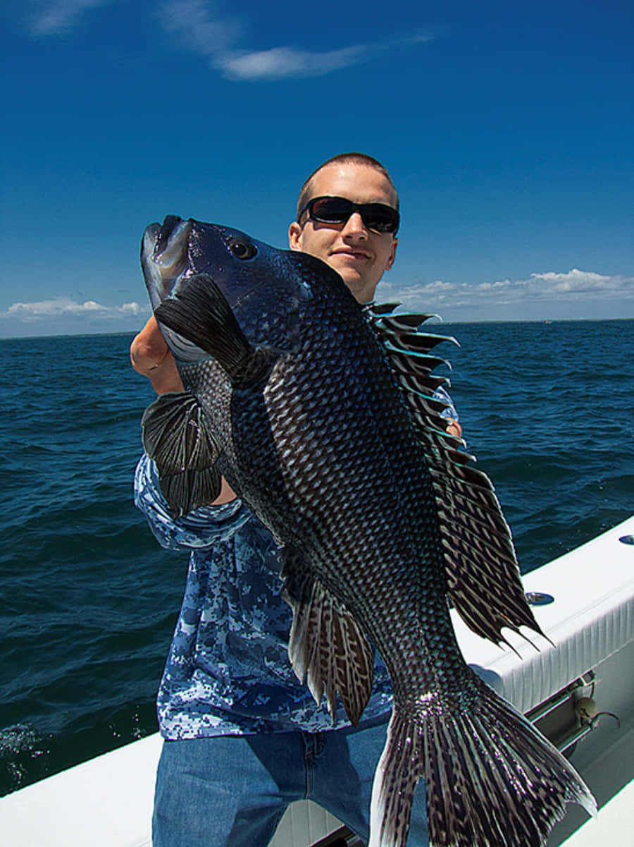 Black Sea Bass 桌布 壁紙 — 一名男子在船上自豪地舉起一條深色鱗片的大魚，背景是明亮的藍天和海洋。