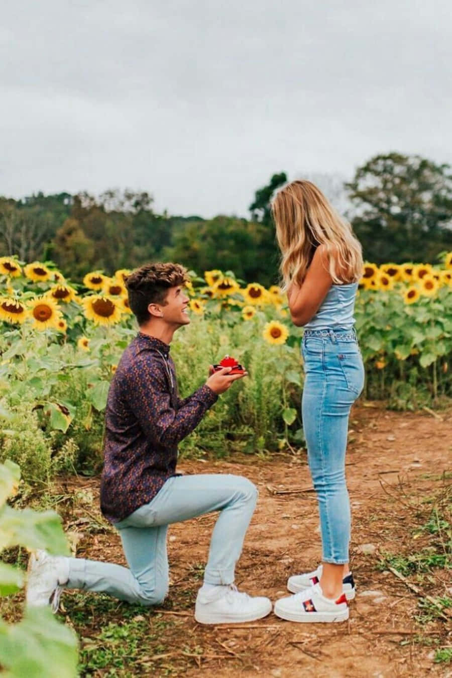 Proposal 桌布 壁紙 — 一名男子跪在向日葵田裡，手持一個紅色盒子，向站在他面前的女子求婚。