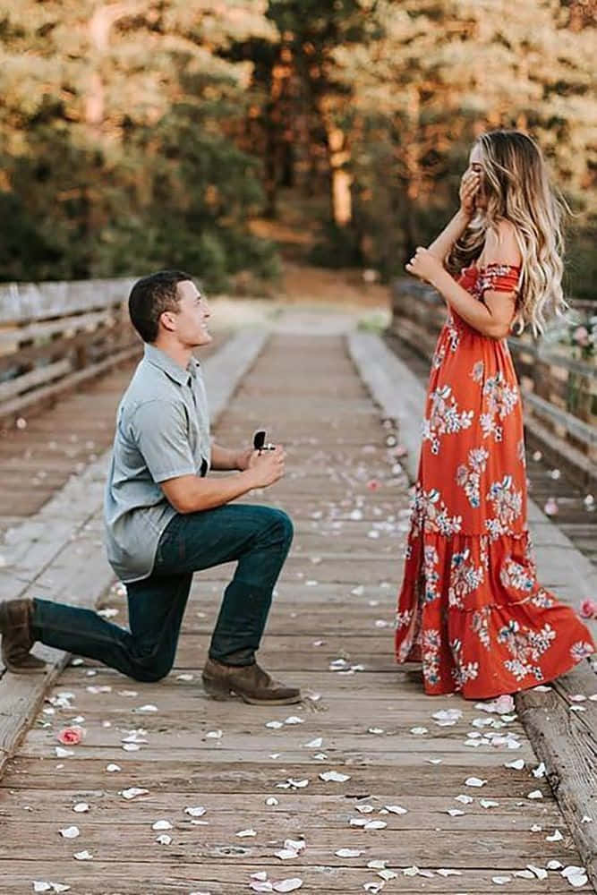 engagement 桌布 壁紙 — 一名男子跪在木橋上，向一位身穿紅色花卉洋裝的驚訝女子遞上戒指，玫瑰花瓣在他們周圍散落。