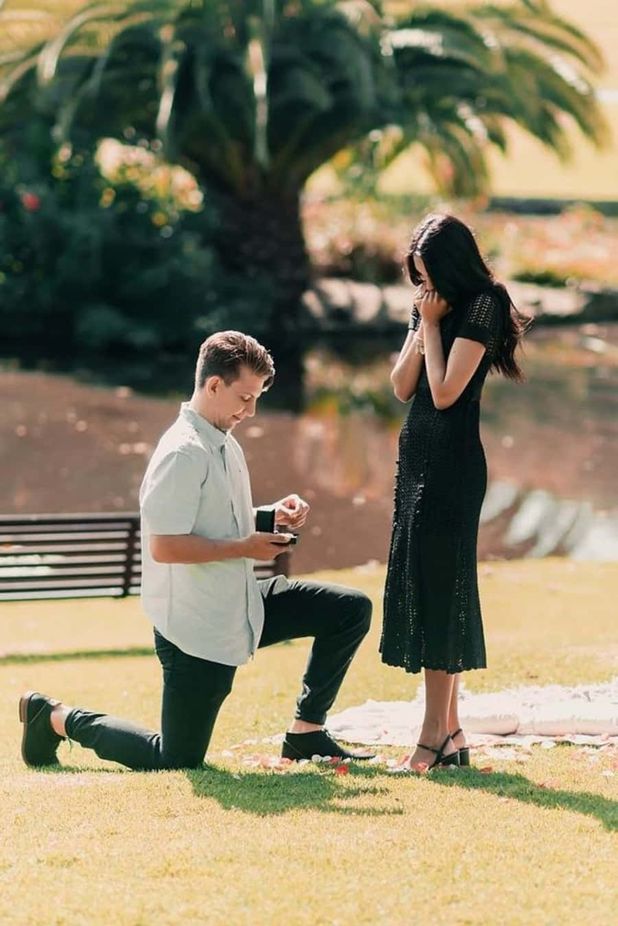 Proposal 桌布 壁紙 — 一名男子跪在草地上，手持打開的戒指盒，而一名身穿黑色連衣裙的女子驚訝地捂住嘴巴。