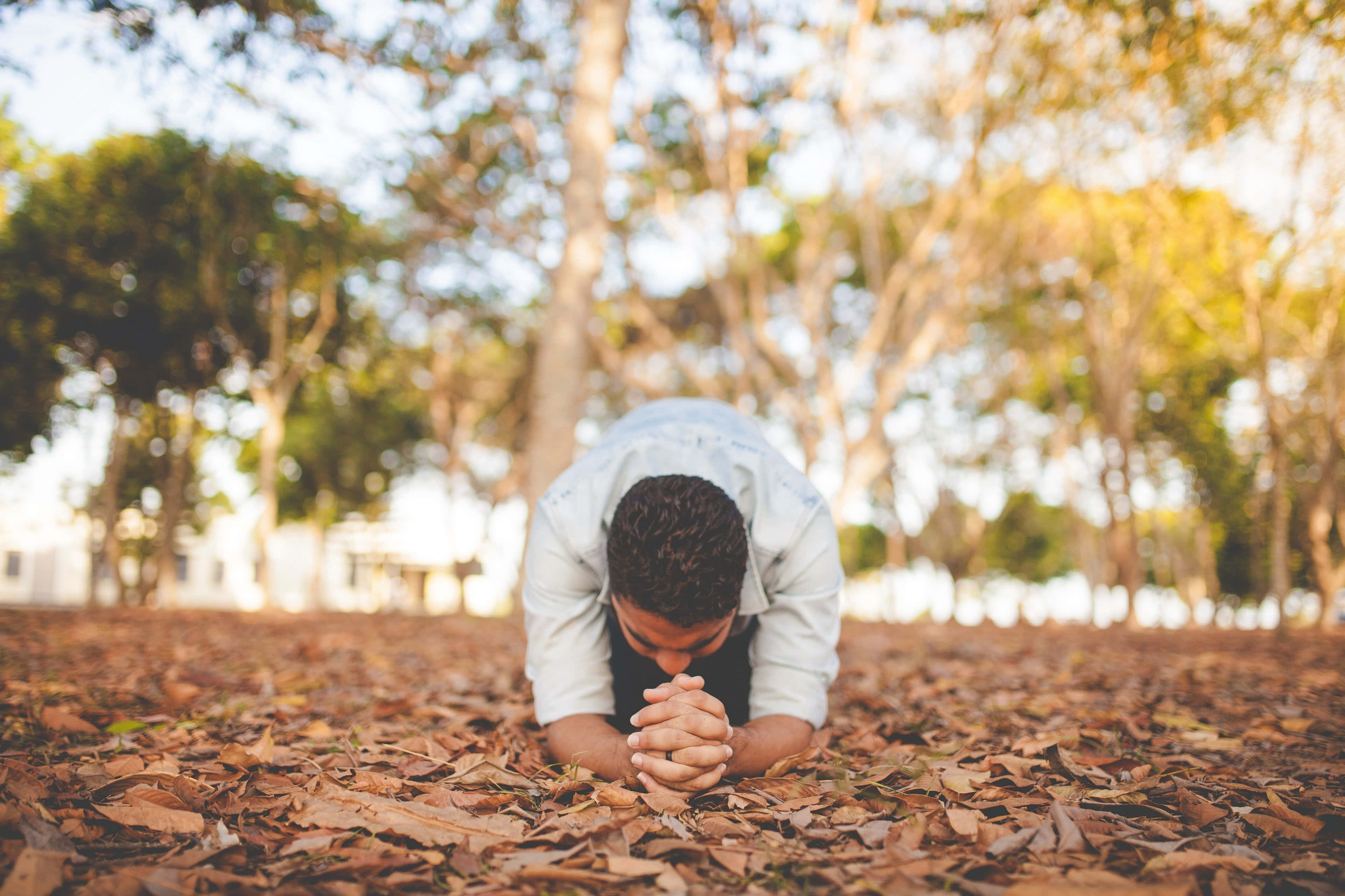 Praying 桌布 壁紙 — 一名男子跪在陽光明媚的公園落葉上，在樹冠下雙手合十祈禱。