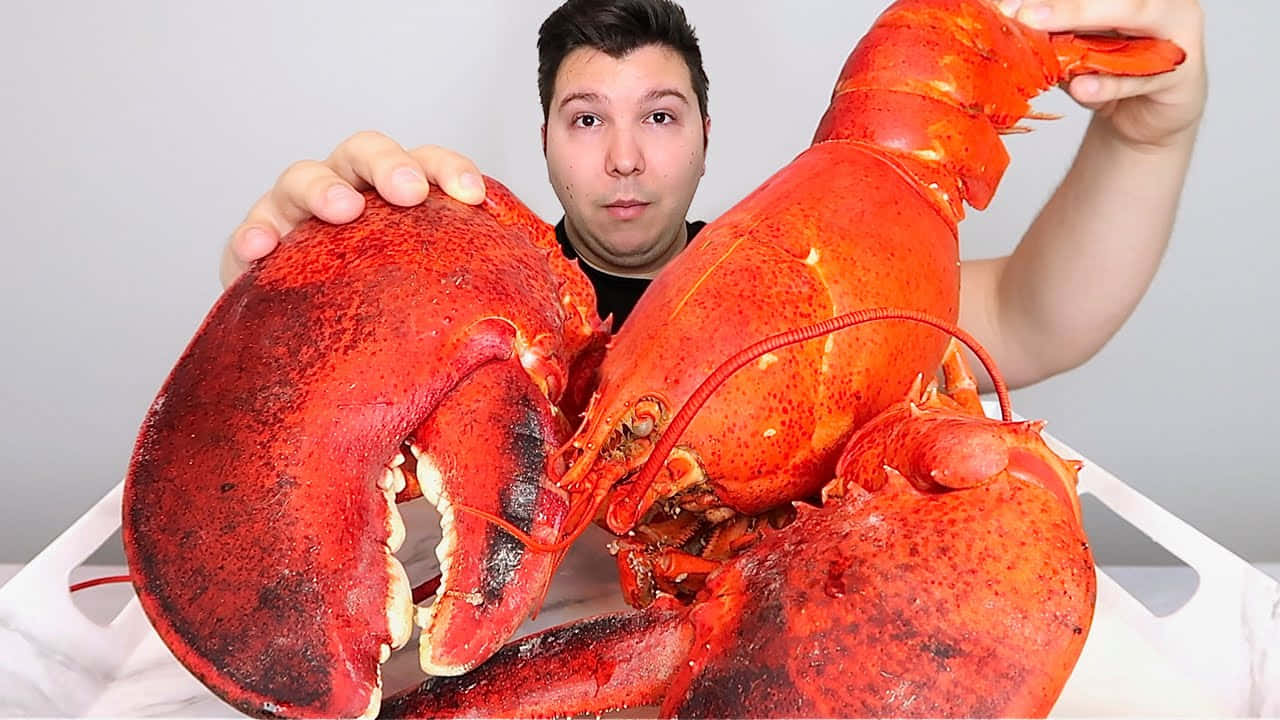Lobster 桌布 壁紙 — 一名男子雙手捧著一隻巨大的鮮紅色熟龍蝦，背景為純白色。